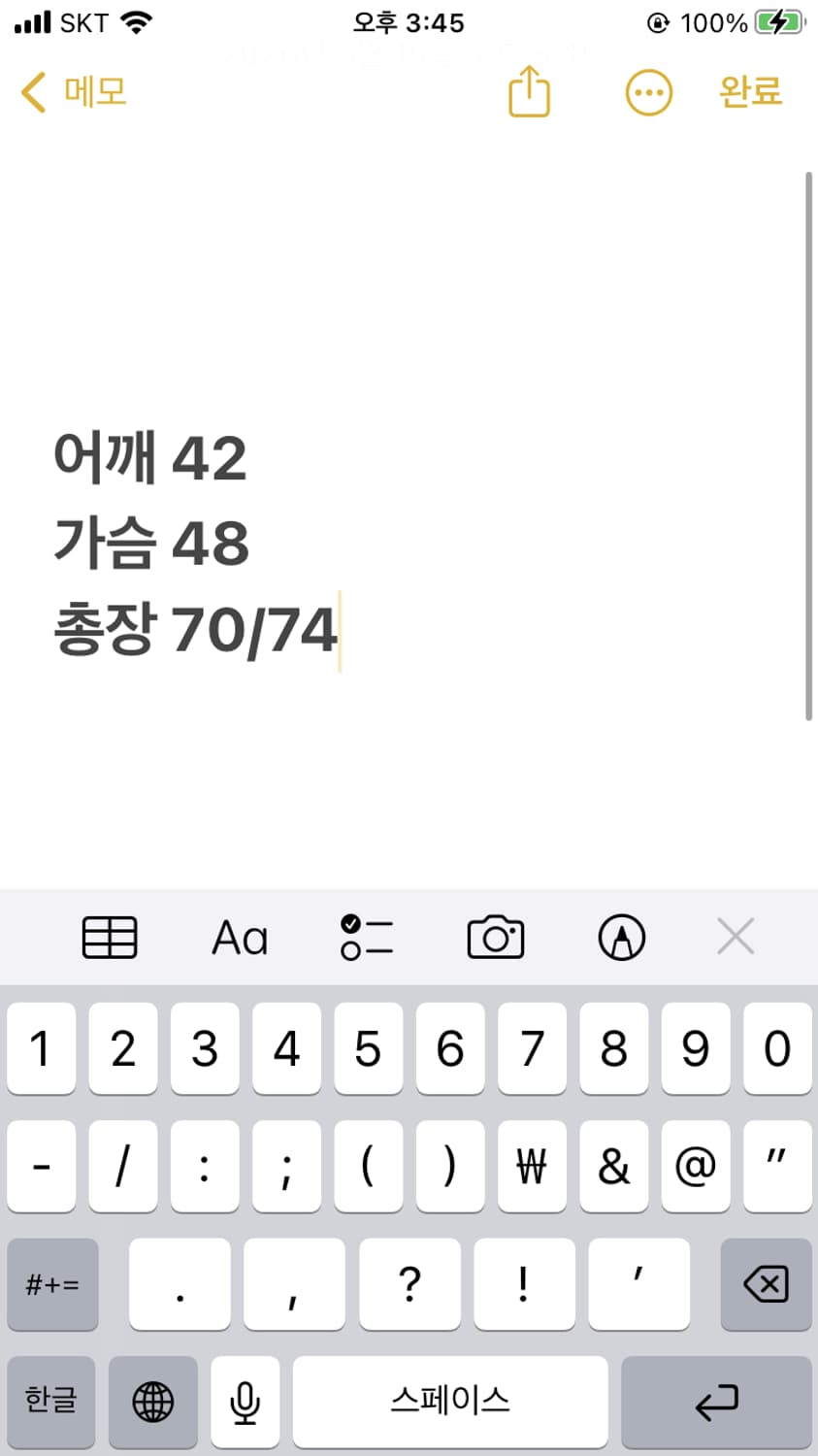폴로랄프로렌 빅포니 카라티  상품이미지6