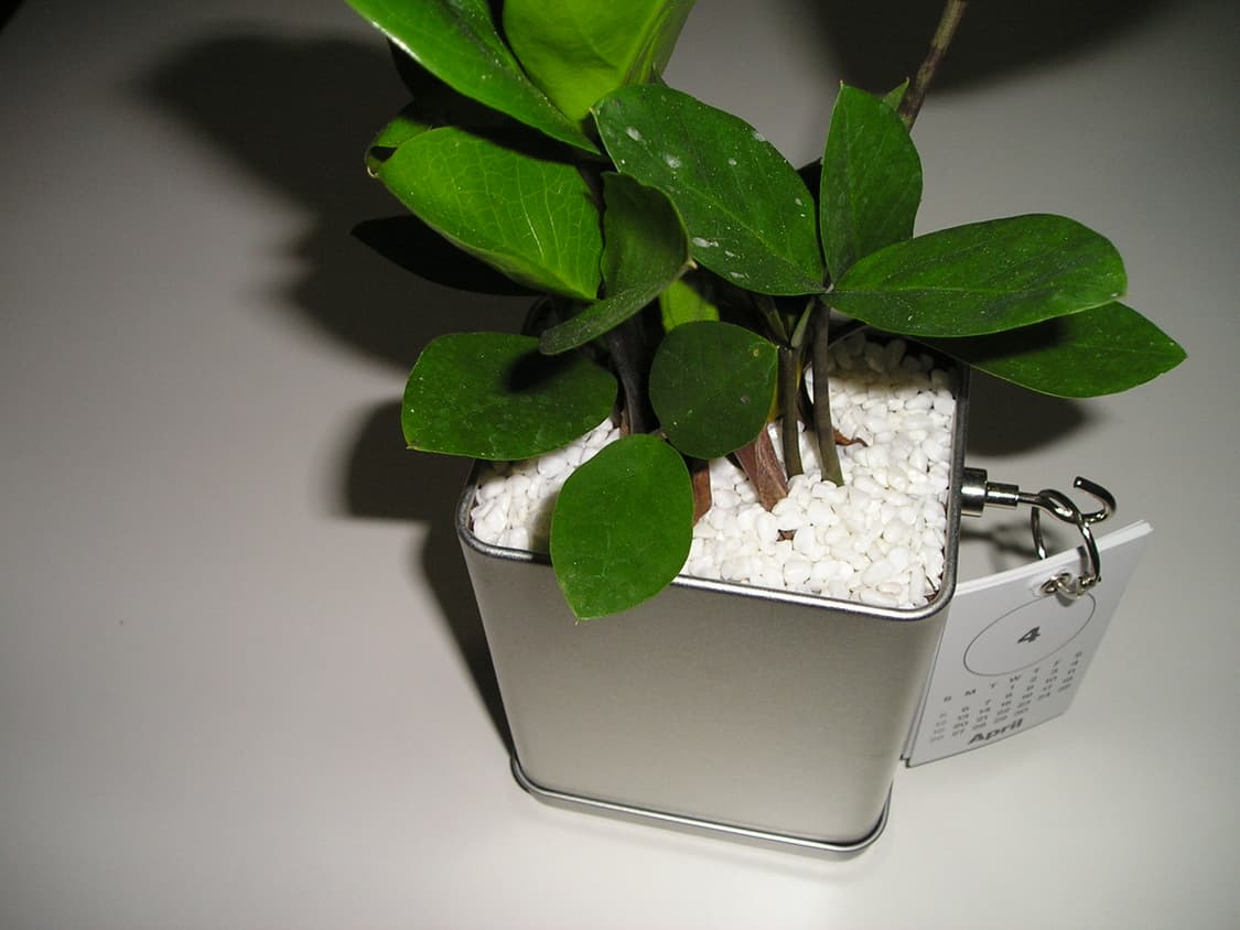 Olympus CAMEDIA C-350 디지털 카메라 상품이미지8