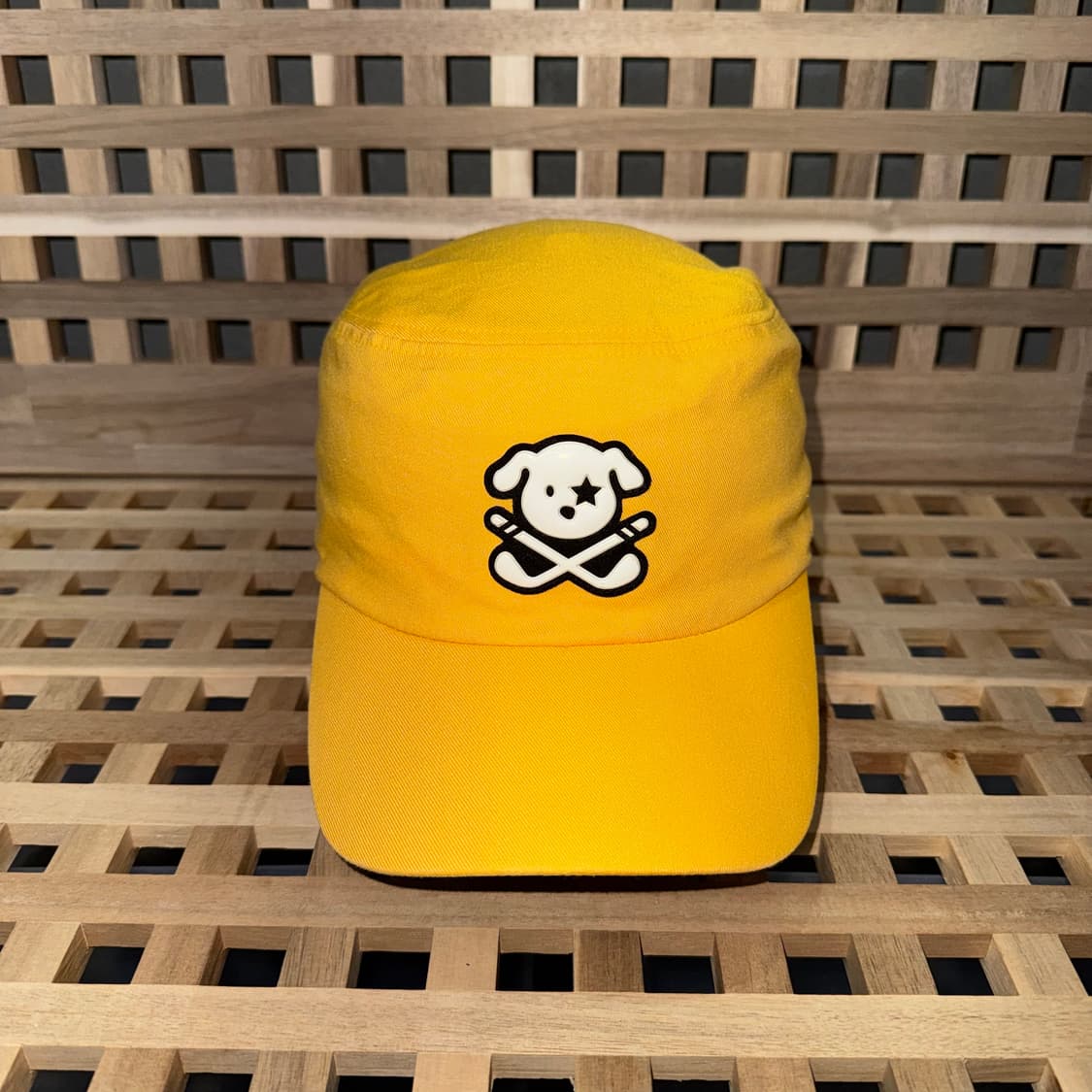 파사디 강아지 옐로우 캡 상품이미지2