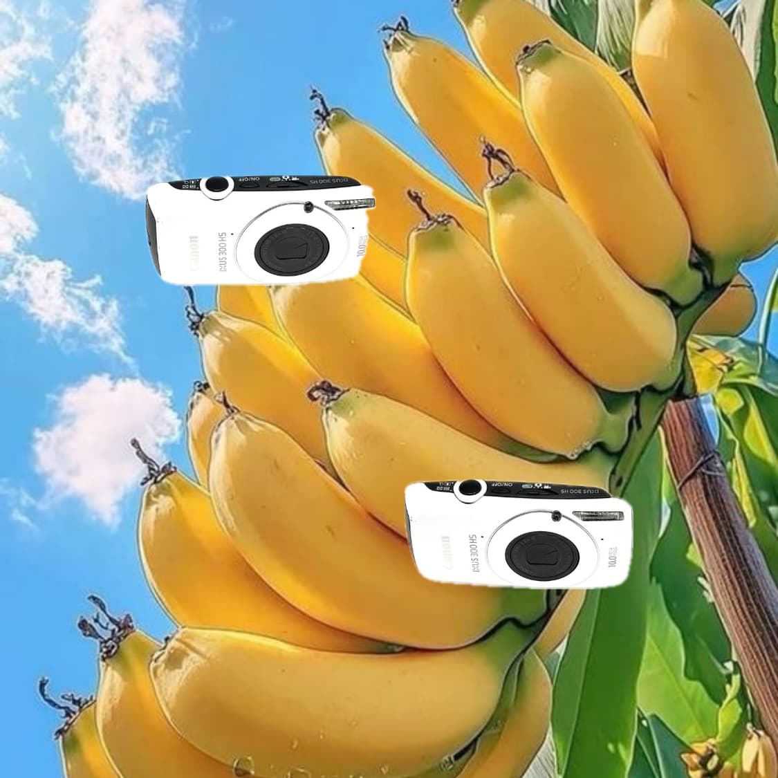 인플루언서&초희귀!) Canon IXUS 300 HS 디카 카메라 상품이미지1
