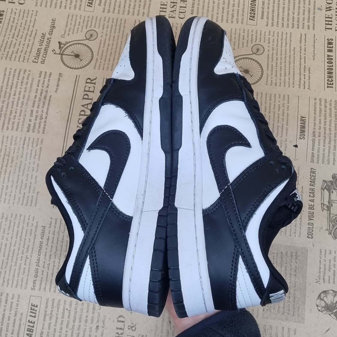 나이키 덩크 로우 범고래 여성스니커즈240 상품이미지5