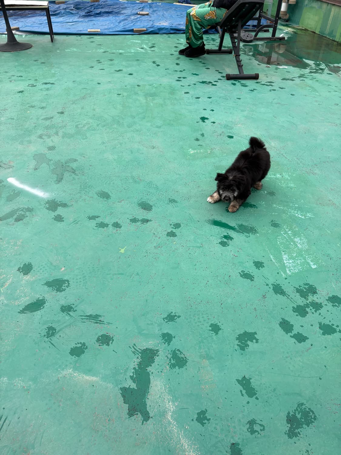 JAPAN FOB WORK 트러커 데님 자켓 상품이미지9