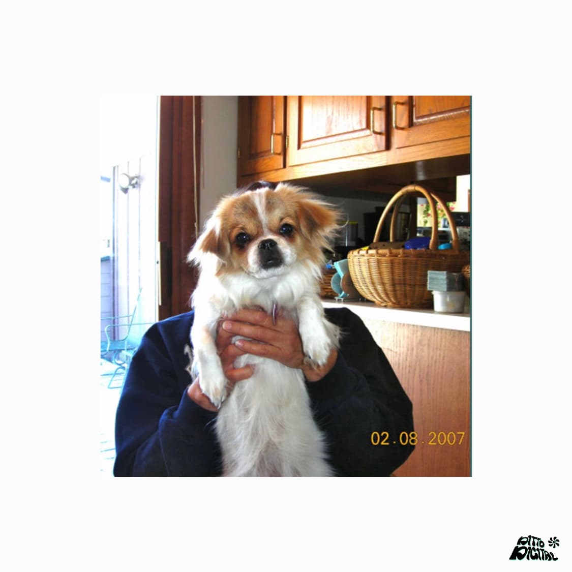 Nikon Coolpix L3 디카 (Black) 상품이미지5