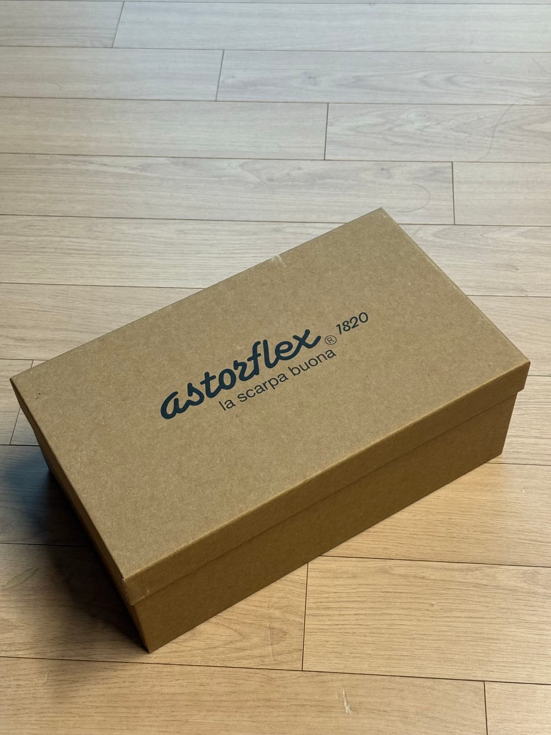 아스토플렉스 그린플렉스 44 포레스타 새상품 상품이미지3