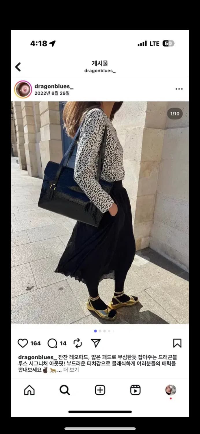 드래곤블루스 호피블라우스 s 상품이미지4