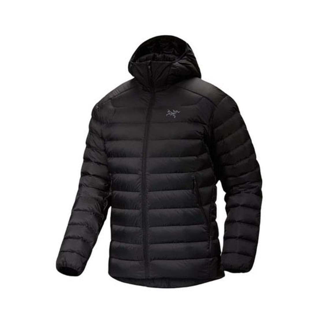 아크테릭스 세륨 후디 상품이미지1