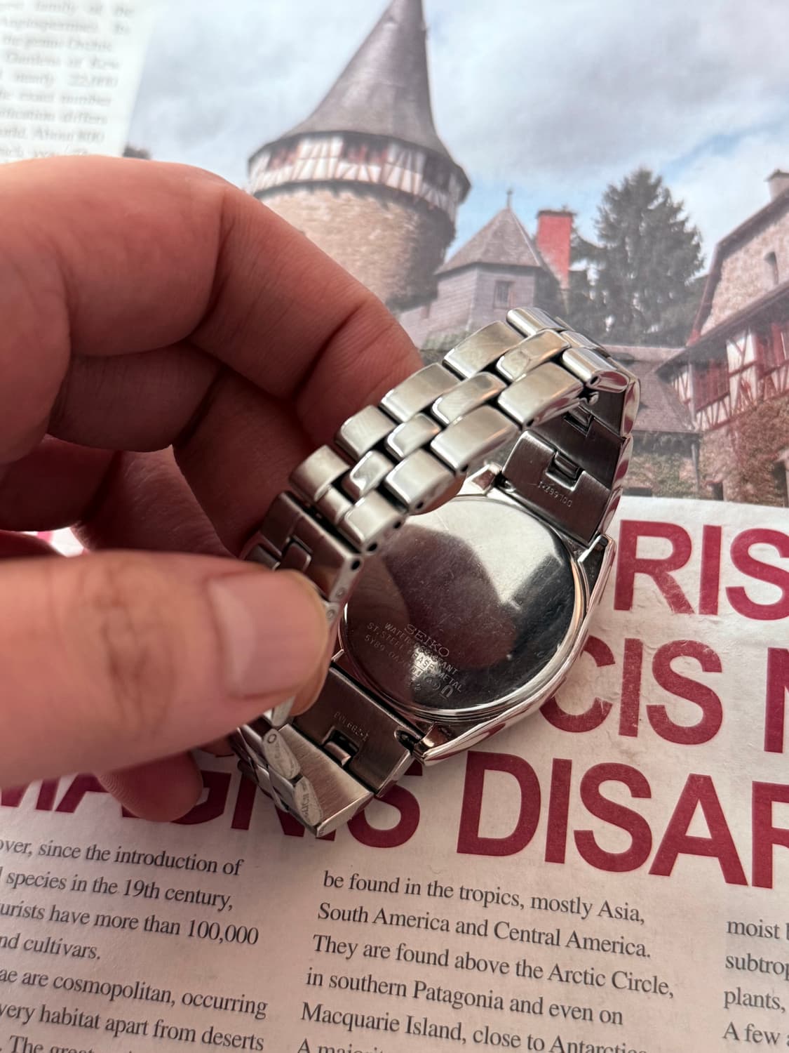 세이코 Seiko lk 레이디스 데이데이트 상품이미지3