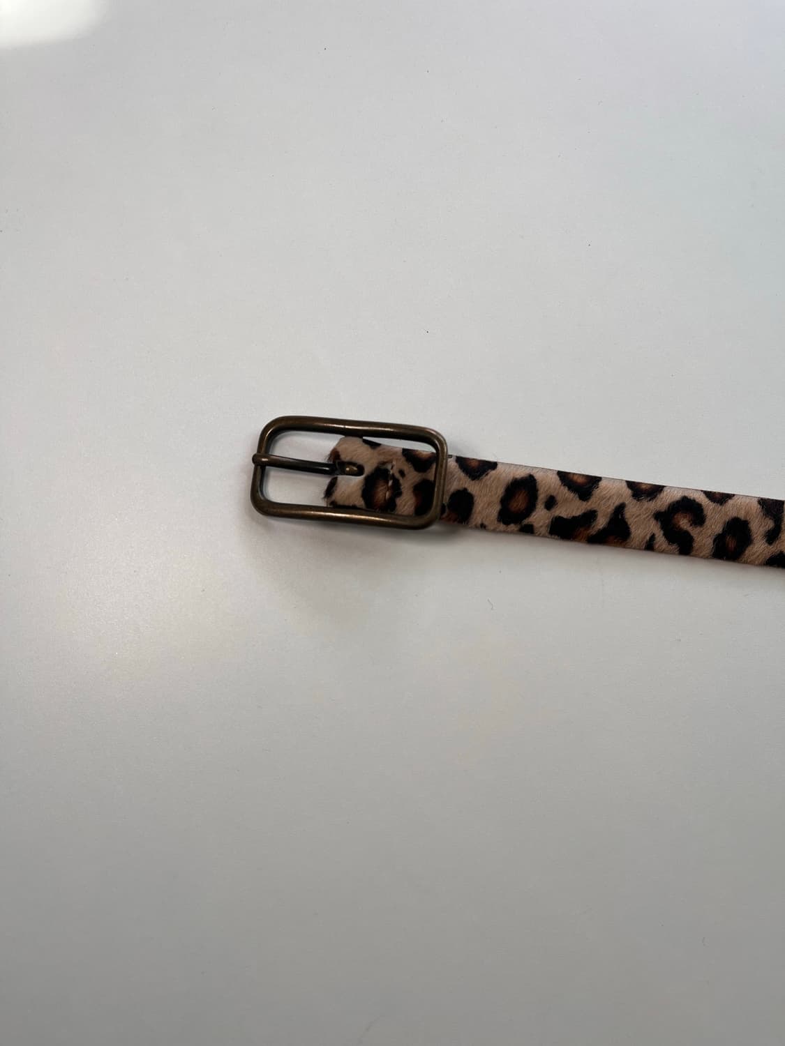 J.crew 레오파드 송치 벨트 made in italy 상품이미지2