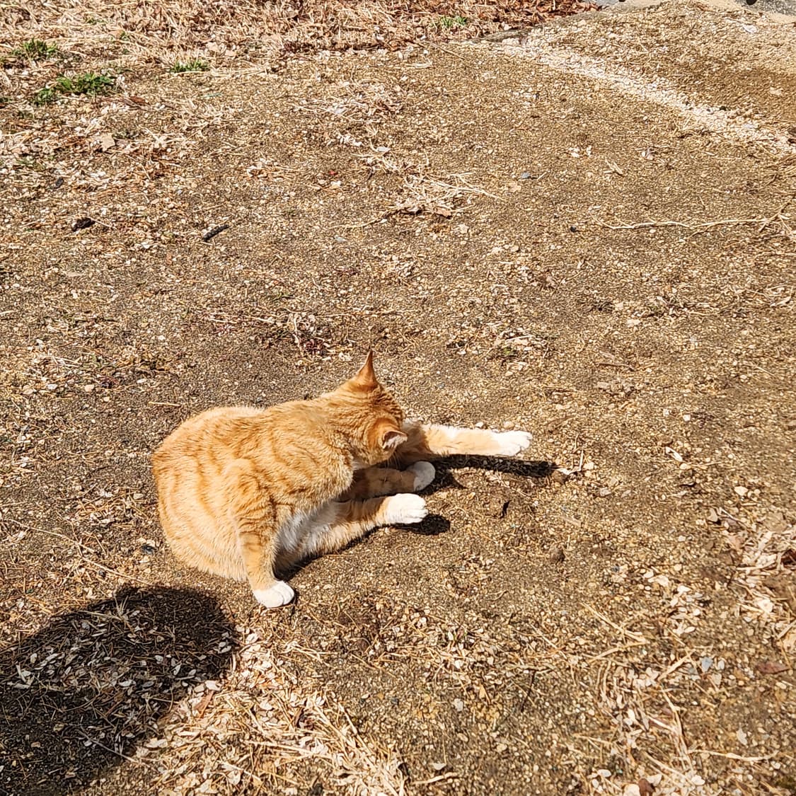 일주일간 후르츠에서만 특별 할인 상품이미지1