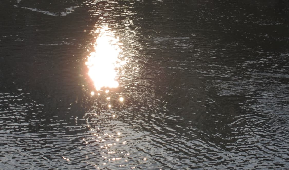 Canon ixus 110 is 빈티지 디카 작례 O 상품이미지10