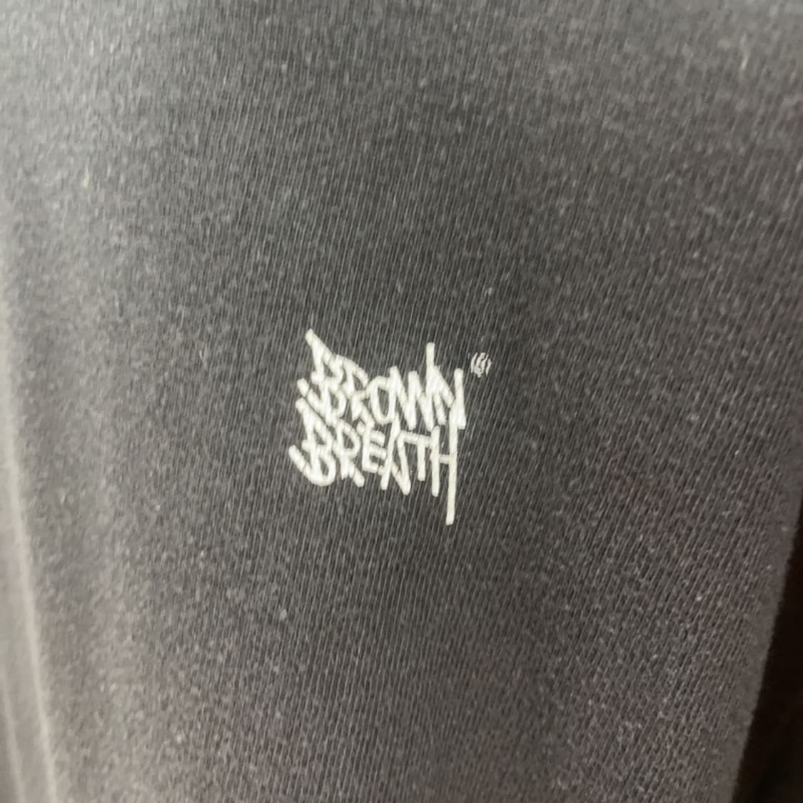 브라운브레스 스트릿 빈티지 빅로고 롱슬리브 L C08909 상품이미지9