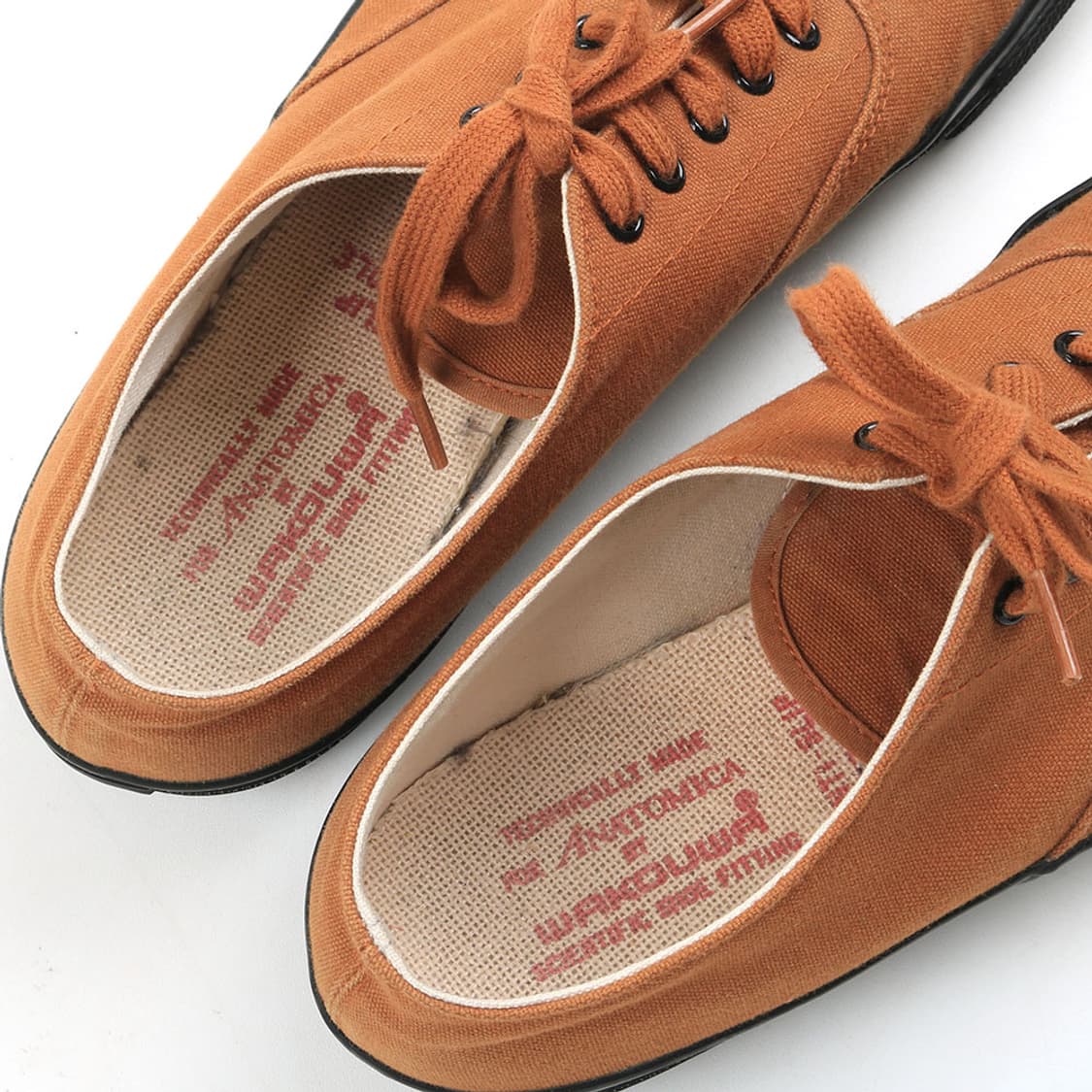 ANATOMICA 상품이미지3