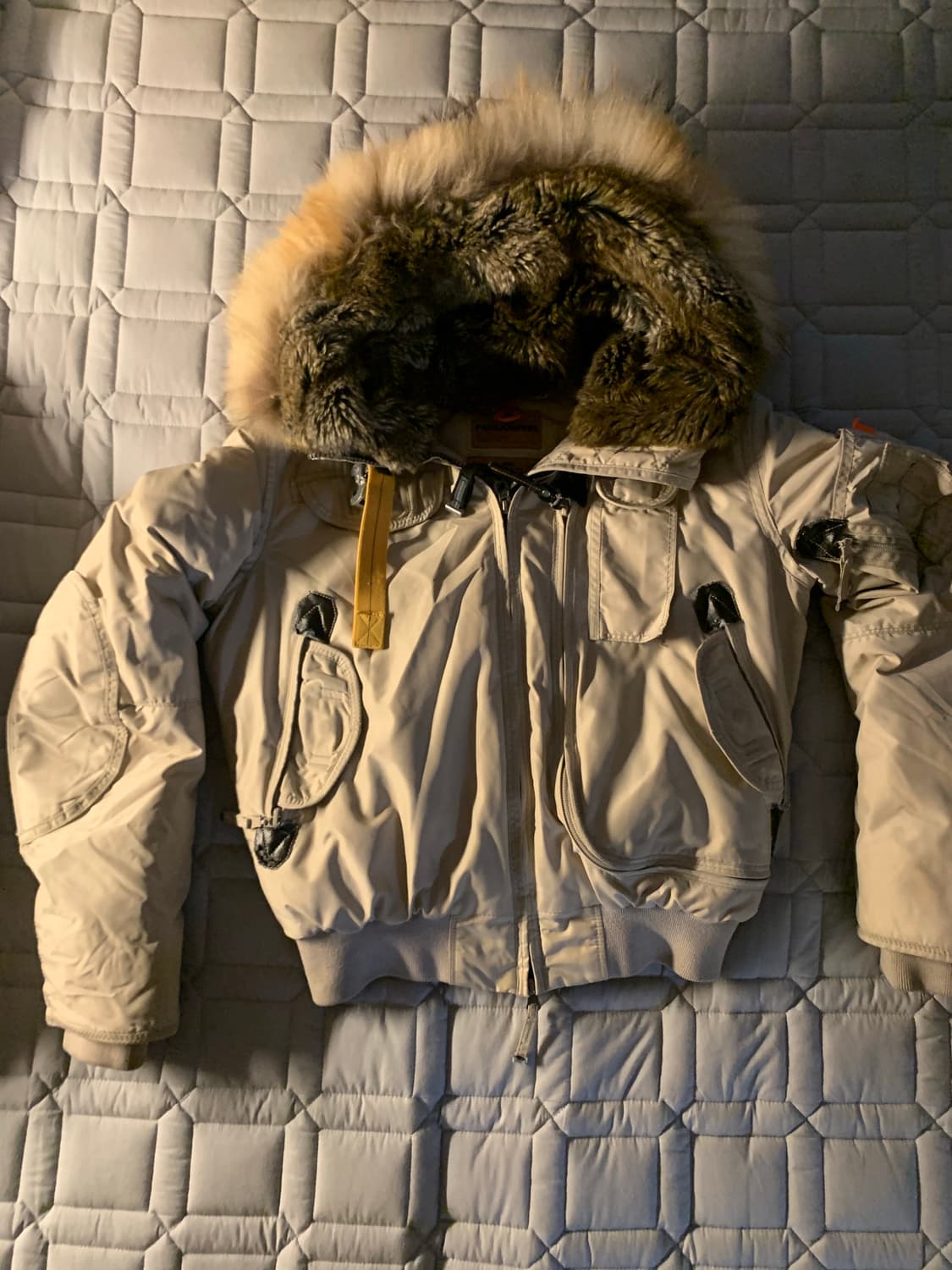 파라점퍼스 고비 상품이미지1