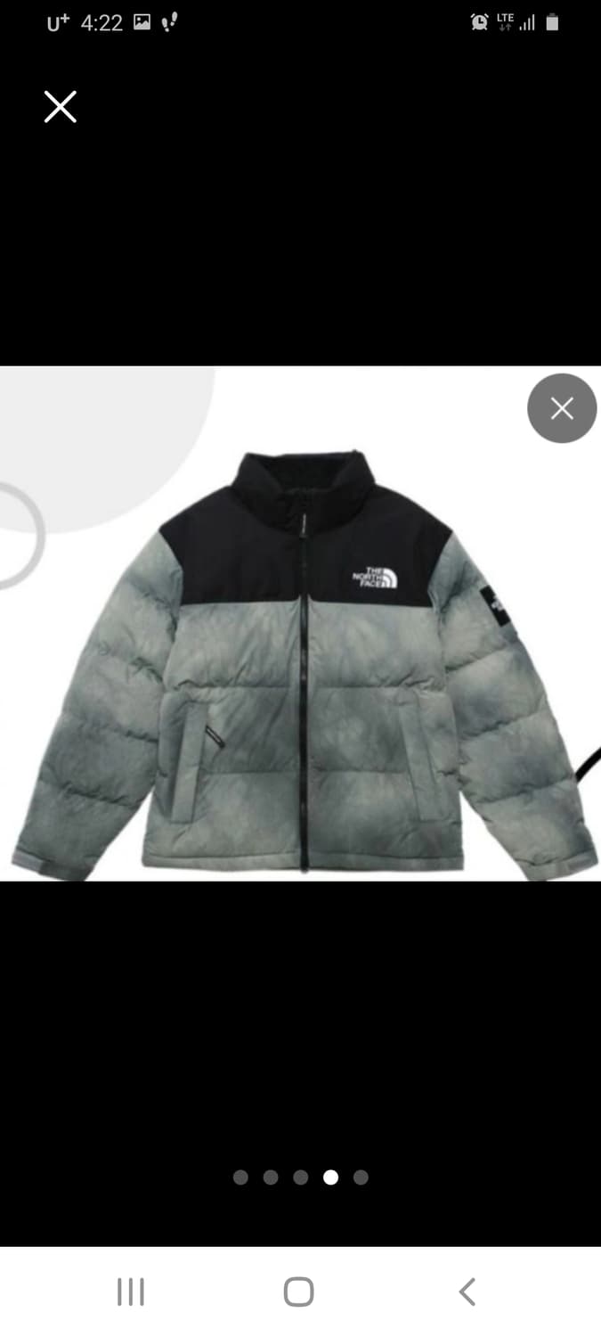 노스페이스 다잉 눕시 패딩 95 상품이미지1