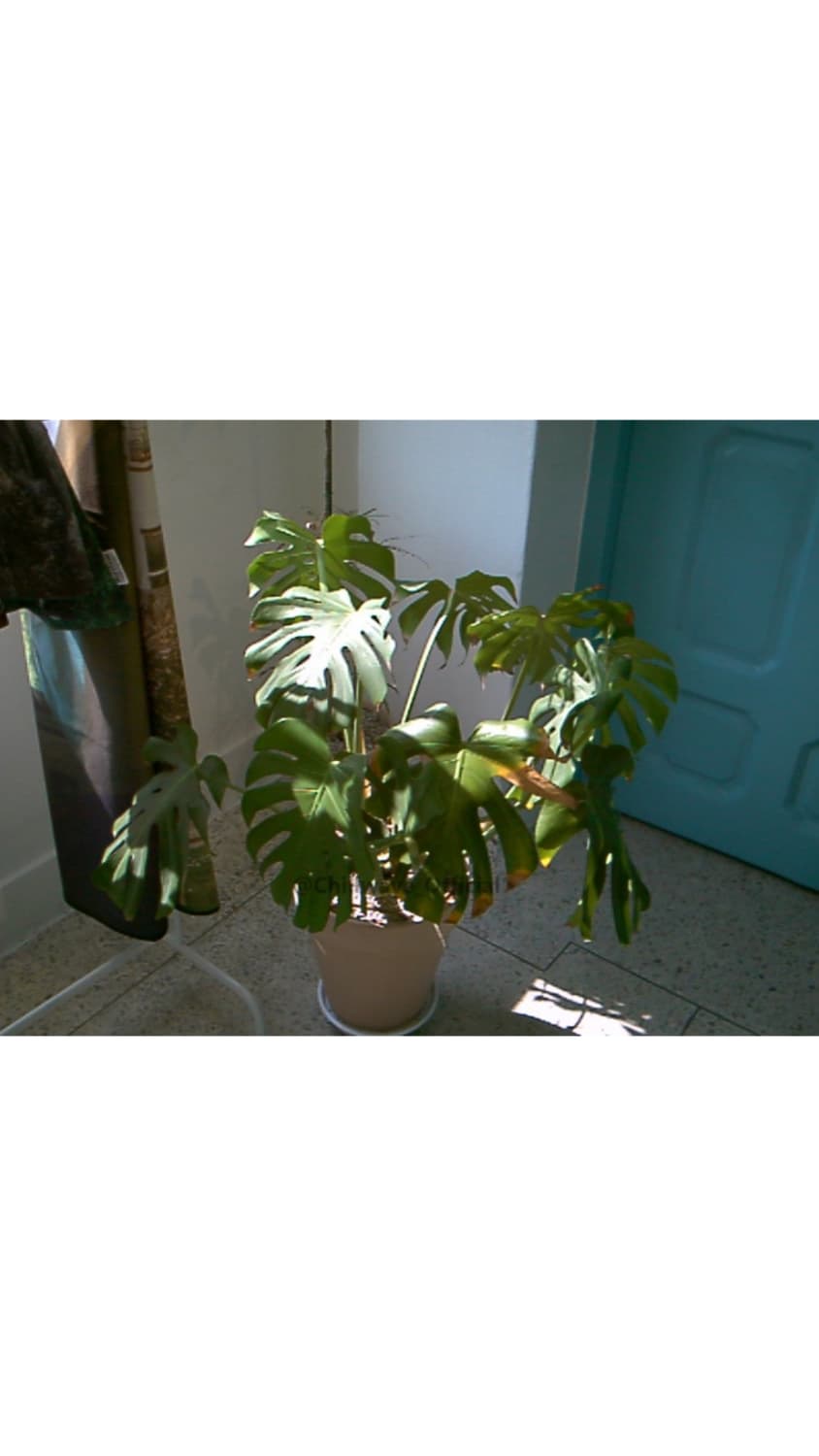 Toshiba PDR-M4 상품이미지5