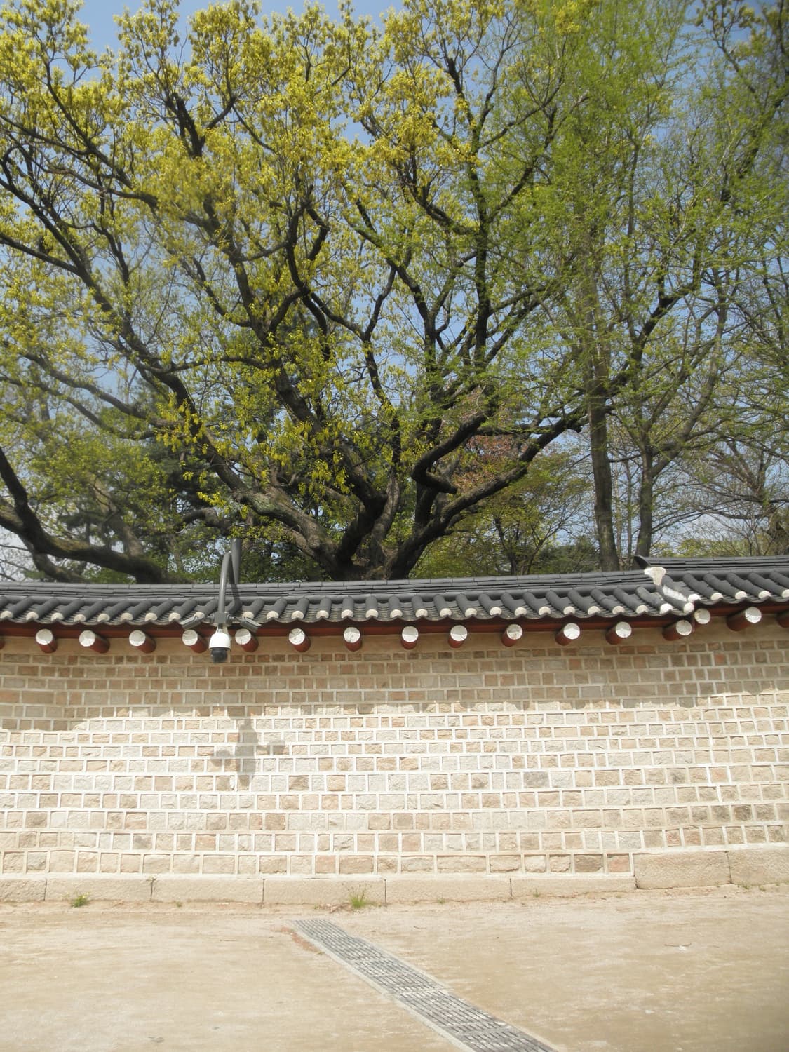 작례o 핑크빛 뽀용 디카 올림푸스 뮤7040 카메라 판매합니다 상품이미지9