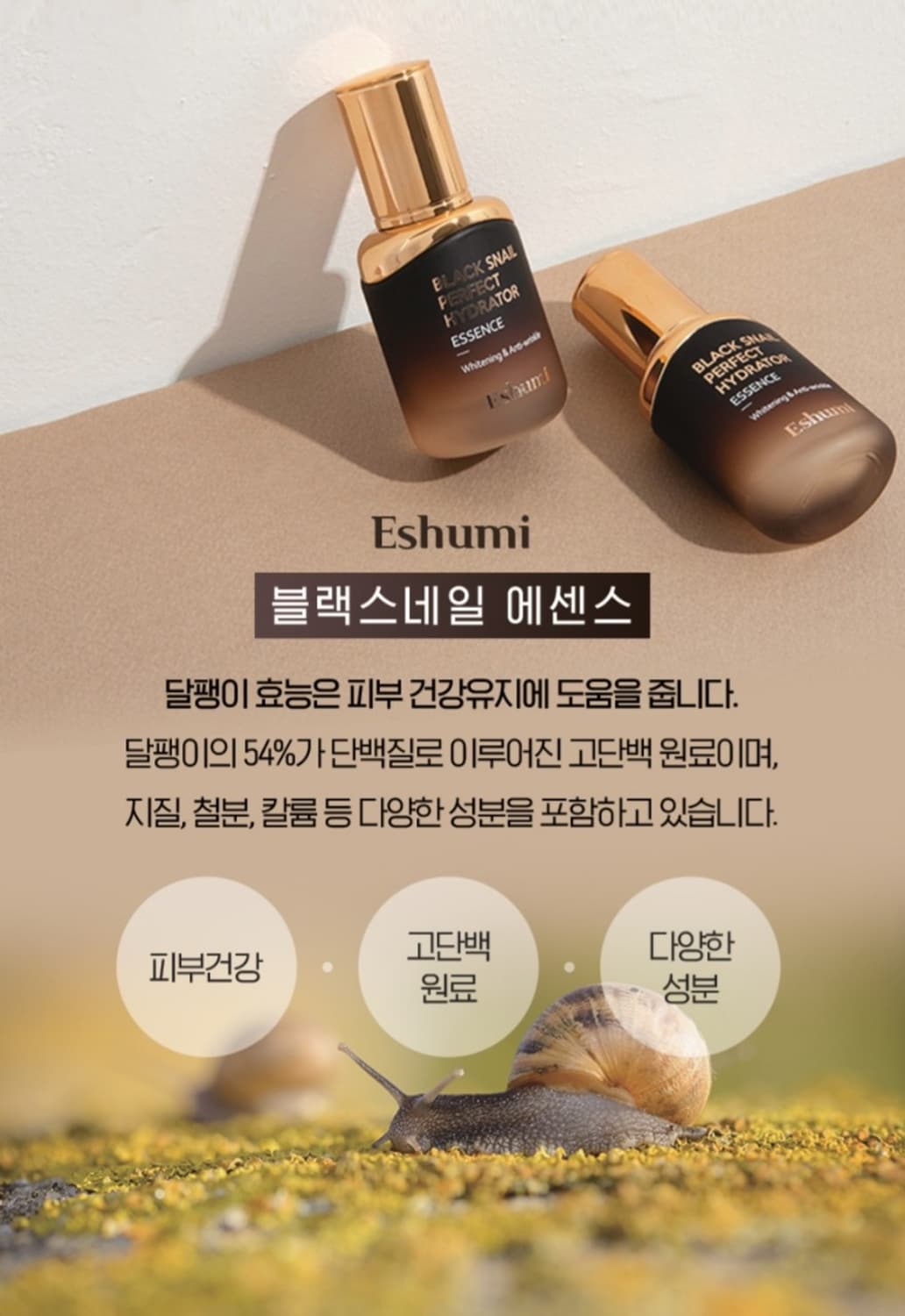 애슈미 블랙 스네일 스킨케어 6종 스킨 로션 에센스 앰플세럼 아이크림 수 상품이미지5