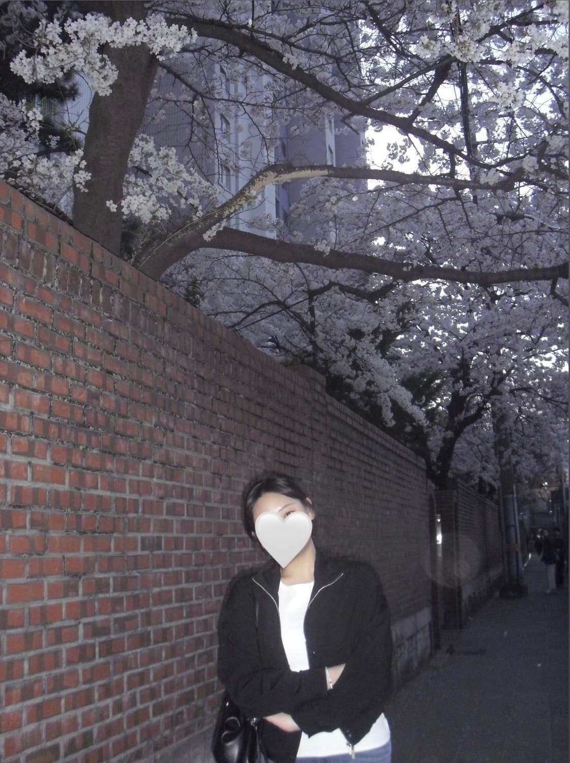 카시오 엑슬림 ex-z29(작례O) 빈티지디카 디지털카메라 상품이미지7