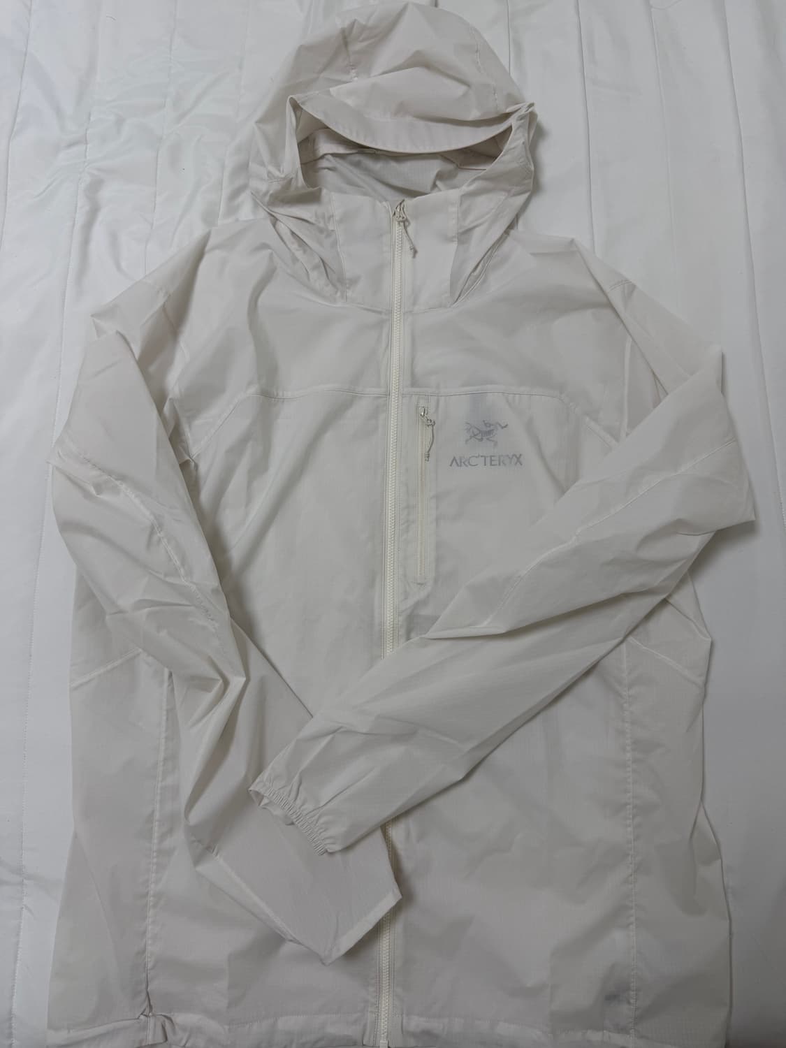 아크테릭스 스쿼미시 아크틱실버 판매합니다. 상품이미지1