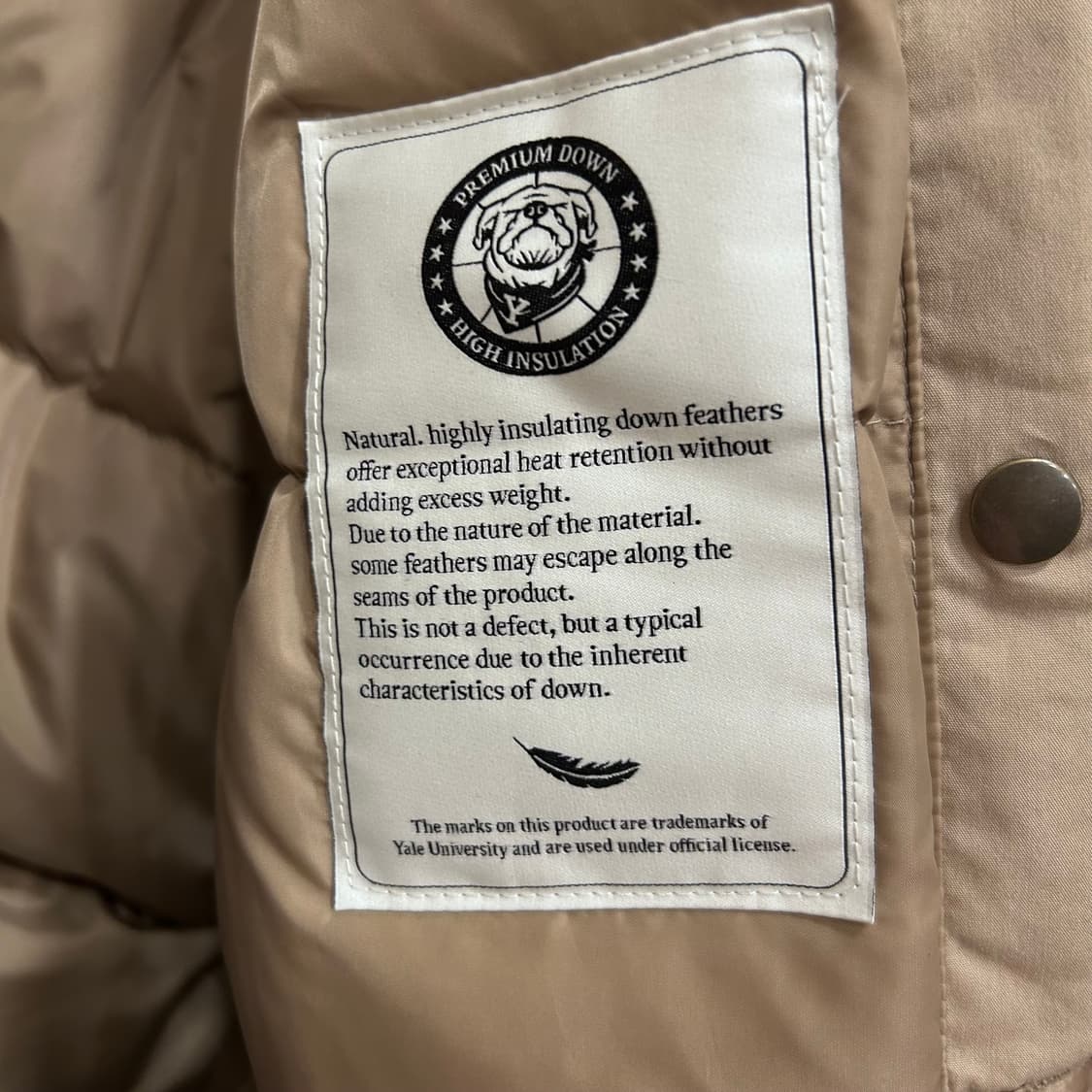 예일 덕다운 스몰도기 코듀로이 카라 봄버자켓 상품이미지4