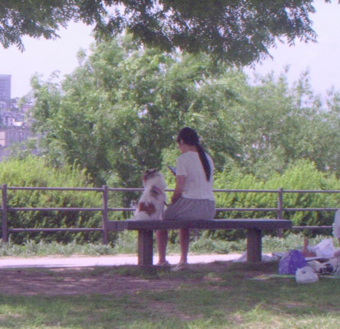 (작례O) 코닥 kodak dc120 zoom 박스 포함 빈티지디카 상품이미지10