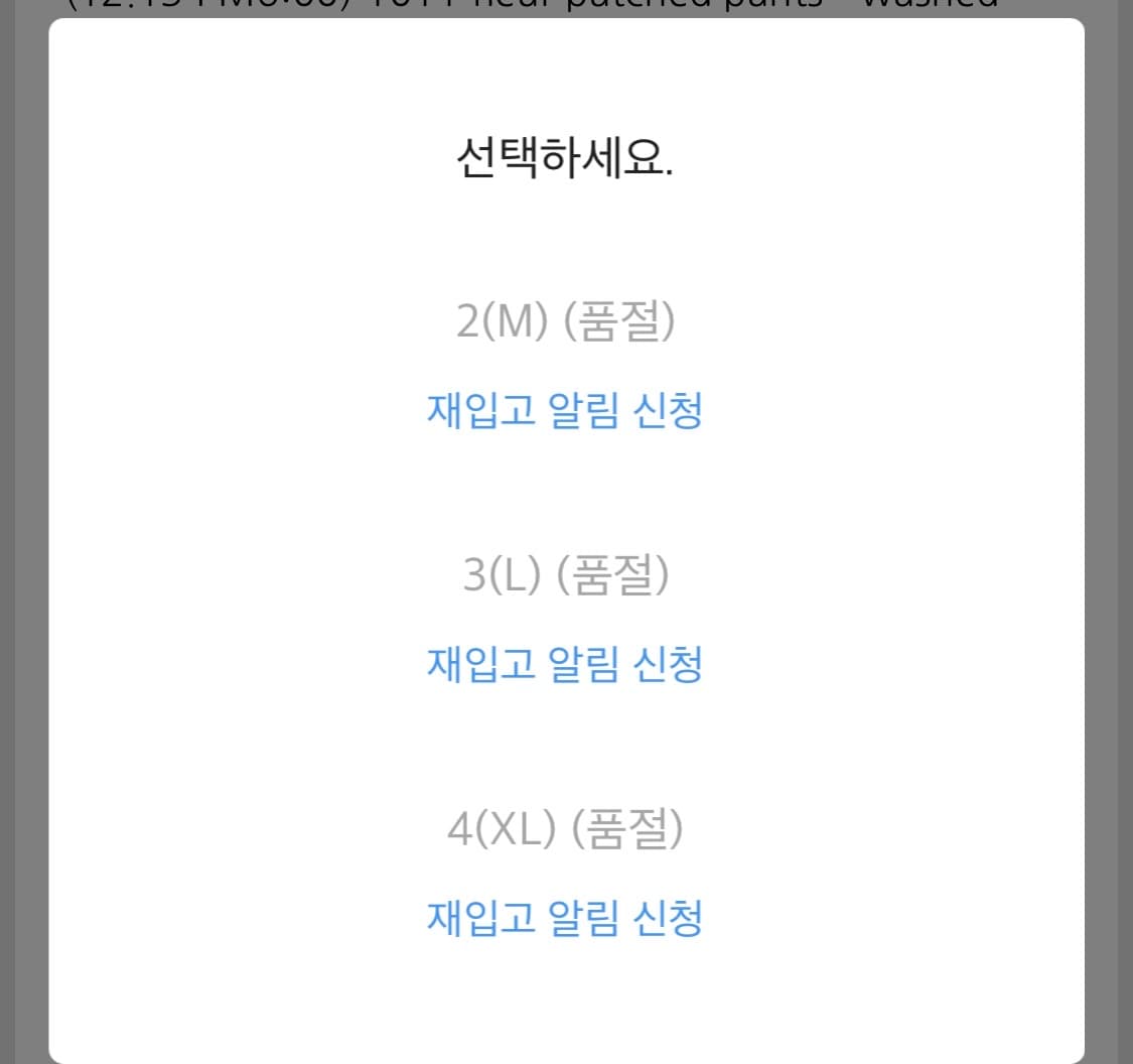 폴리테루 1011 fleur patched pants 상품이미지3