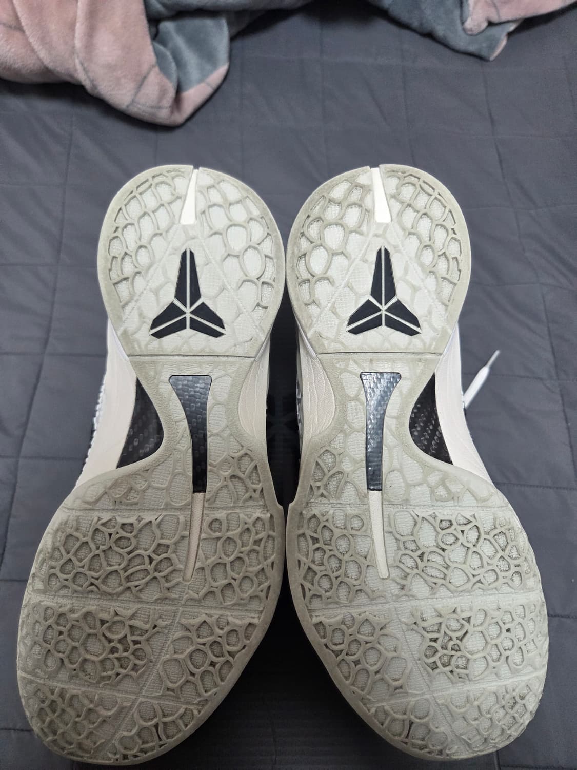 코비 6 세일 285 (자세한 내용은 문의) 상품이미지4