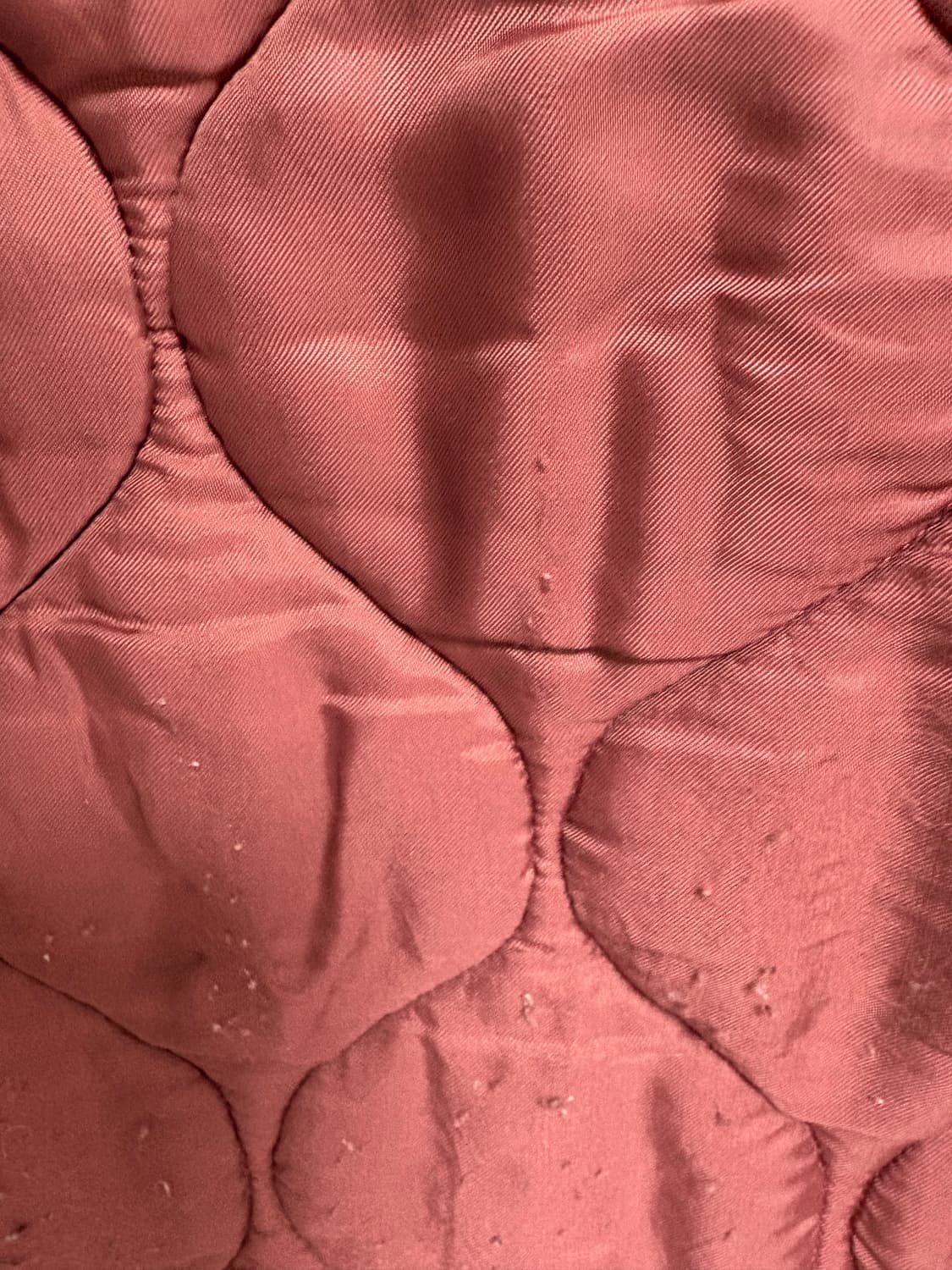 APC padding vest 상품이미지5