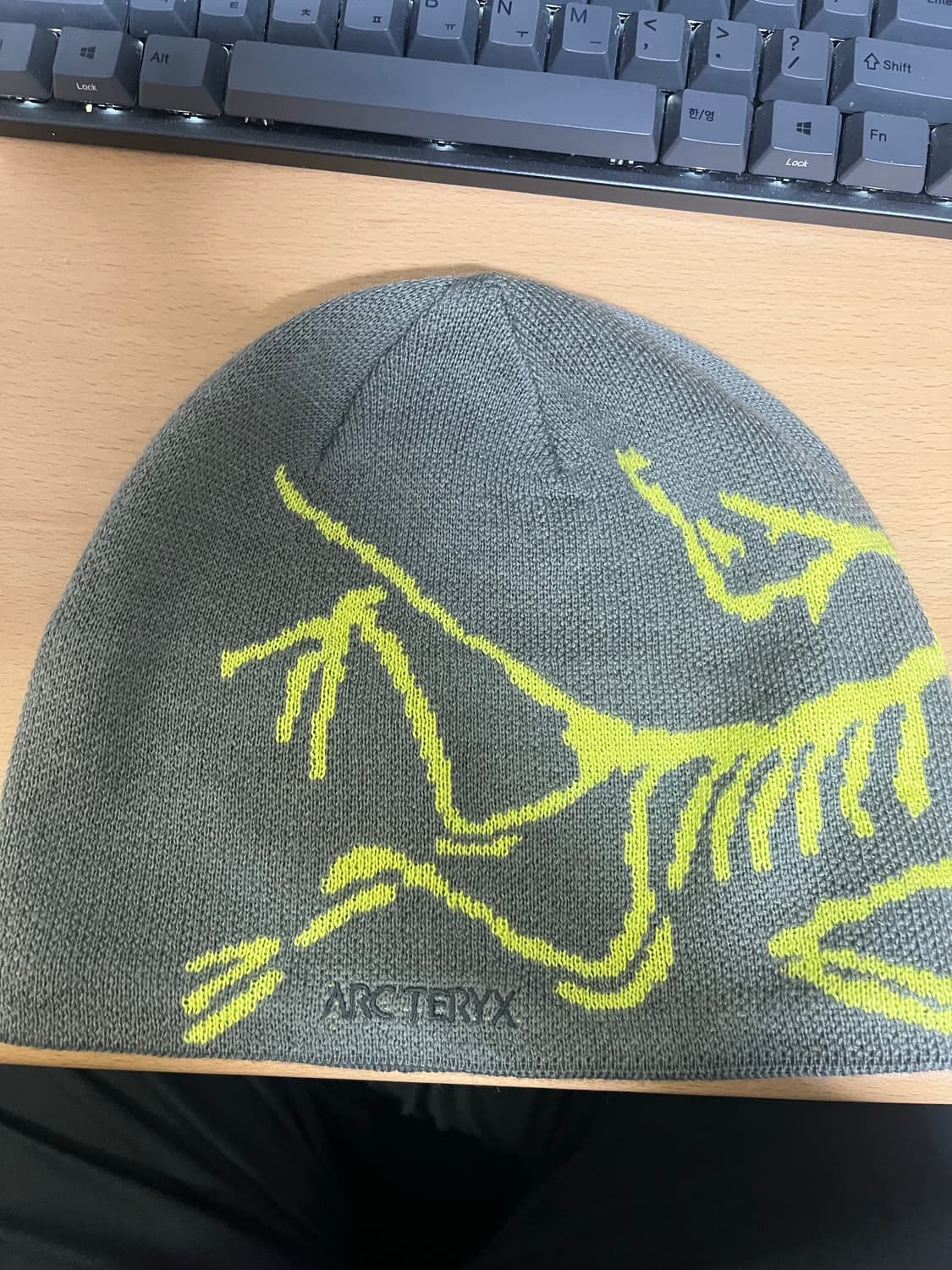 아크테릭스 버드 헤드 토크 그레이  상품이미지3