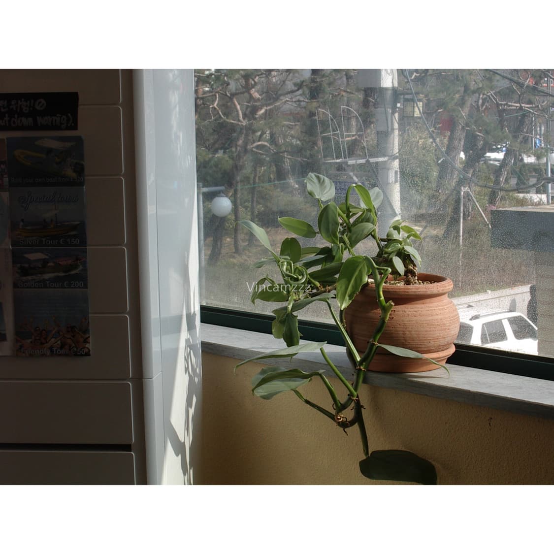 [레어] Pentax 펜탁스 OPTIO 330GS (셀피가능) 상품이미지6