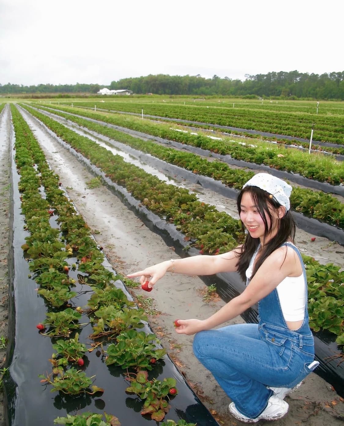 올림푸스 fe 210 디지털카메라 상품이미지9