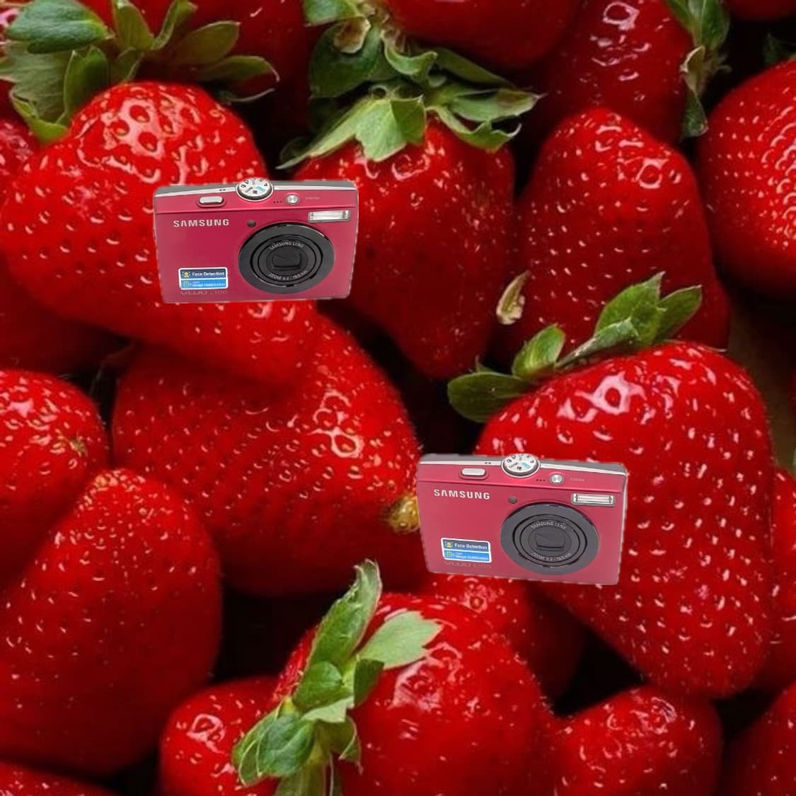 입문&필름색감!) Samsung KENOX L100 디카 카메라 상품이미지1