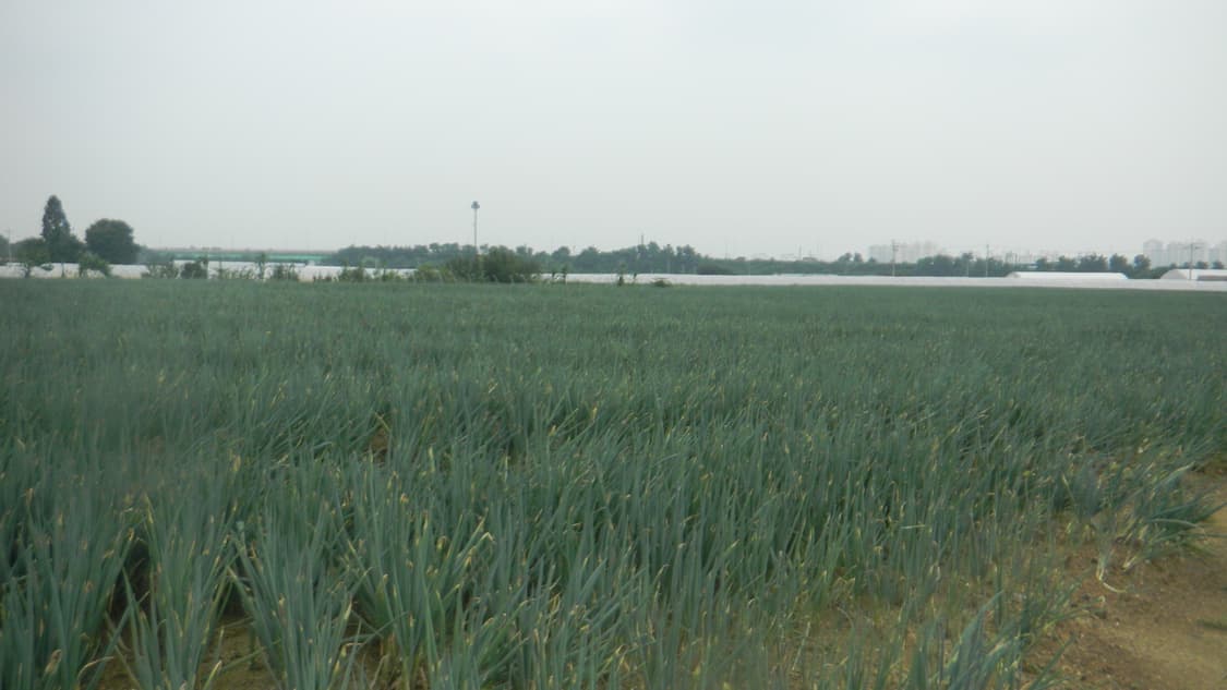 📸💖 니콘 감성 끝판왕 💖📸 ✨ 쿨픽스 S70 ✨  상품이미지10