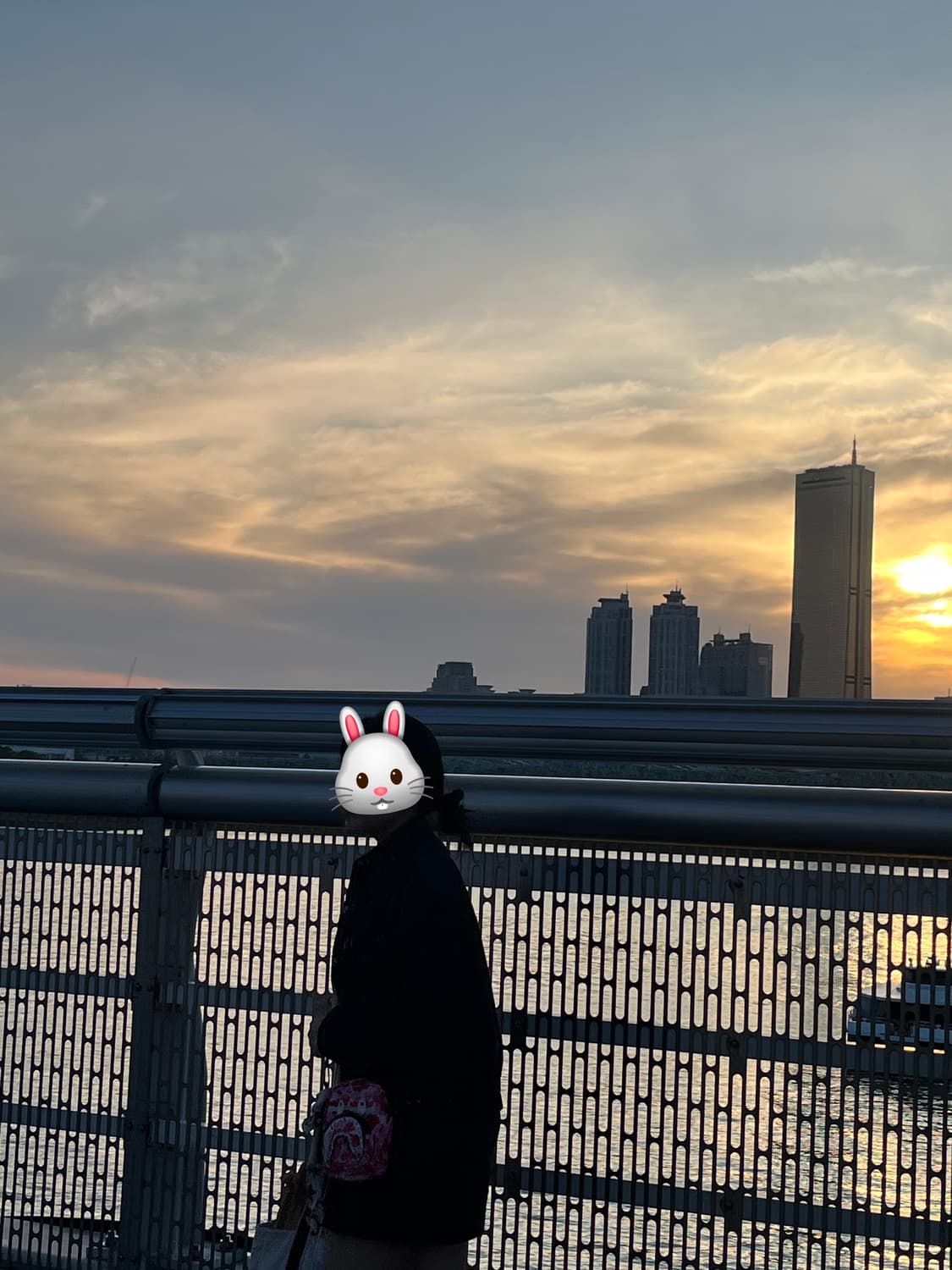 베이프 카모 샤크 미니백 핑크 상품이미지2