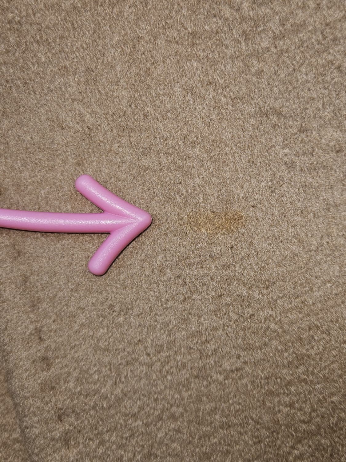 막스마라 2017COATS!서울 리미티드 카멜 코트 (38)/ 10344 상품이미지6