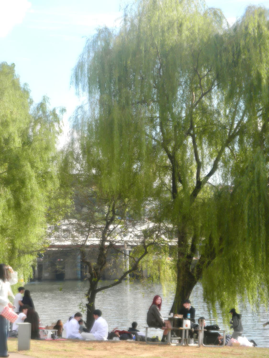 소프트포커스&셀카!) Olympus TG-860 디카 카메라 상품이미지3