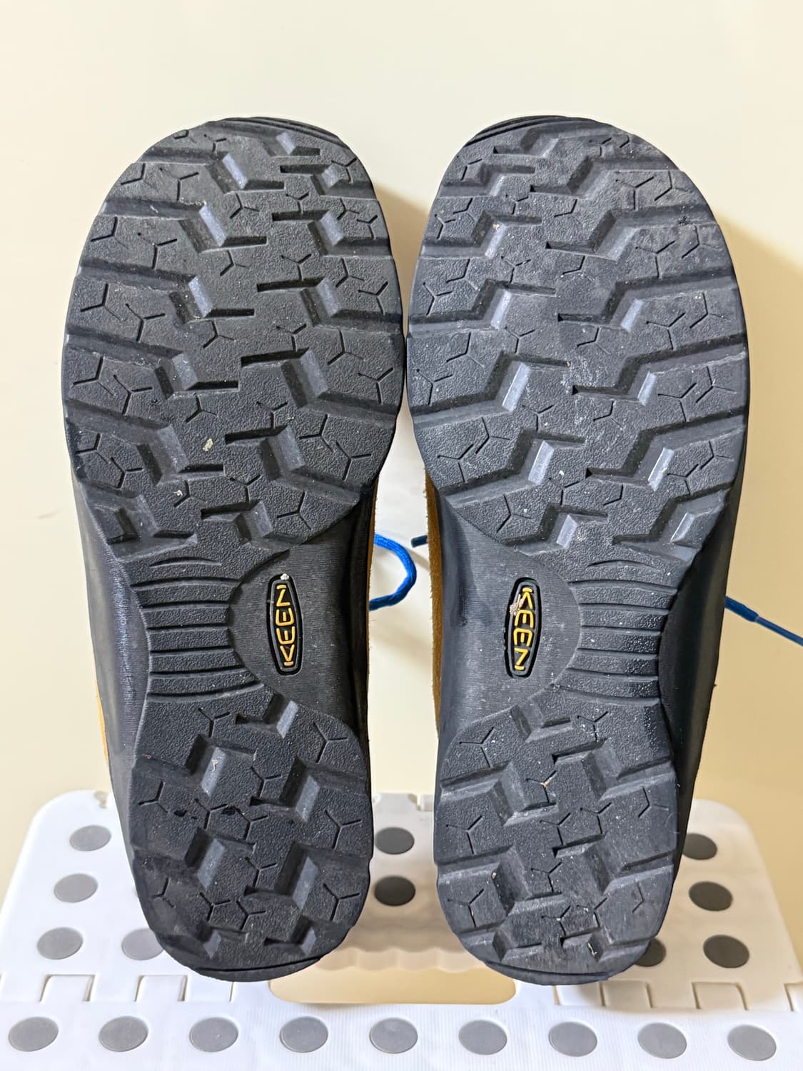 킨 재스퍼 스웨이드 스니커즈 카멜 270 상품이미지6