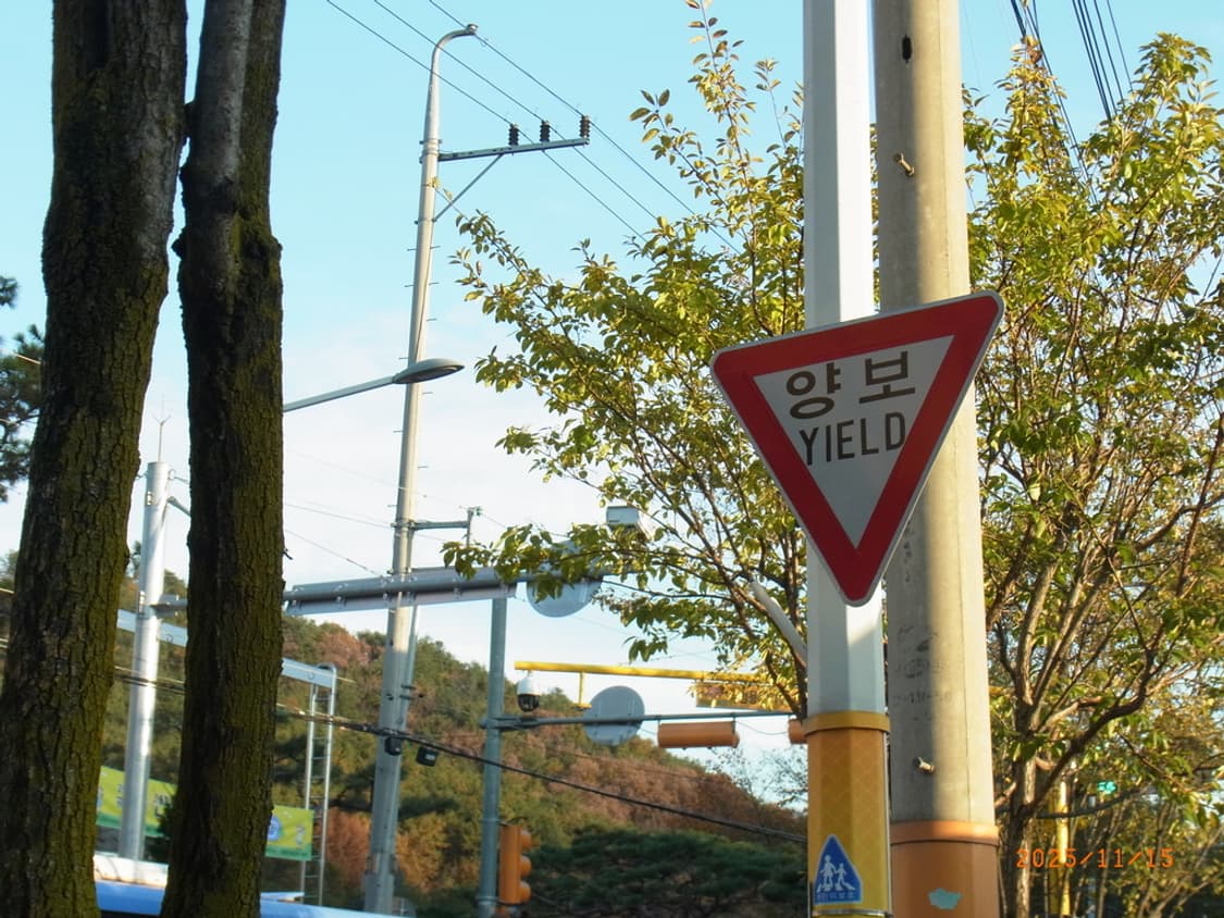 리코ricoh cx5 빈티지카메라 작례O 상품이미지8