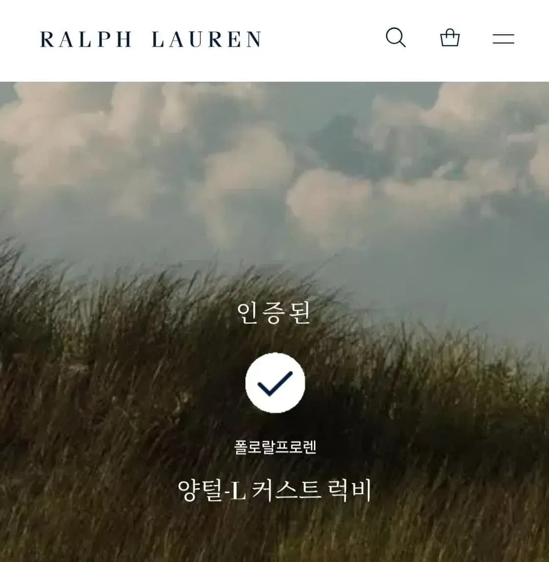 QR 신형 폴로 랄프로렌 럭비 티셔츠
 상품이미지7