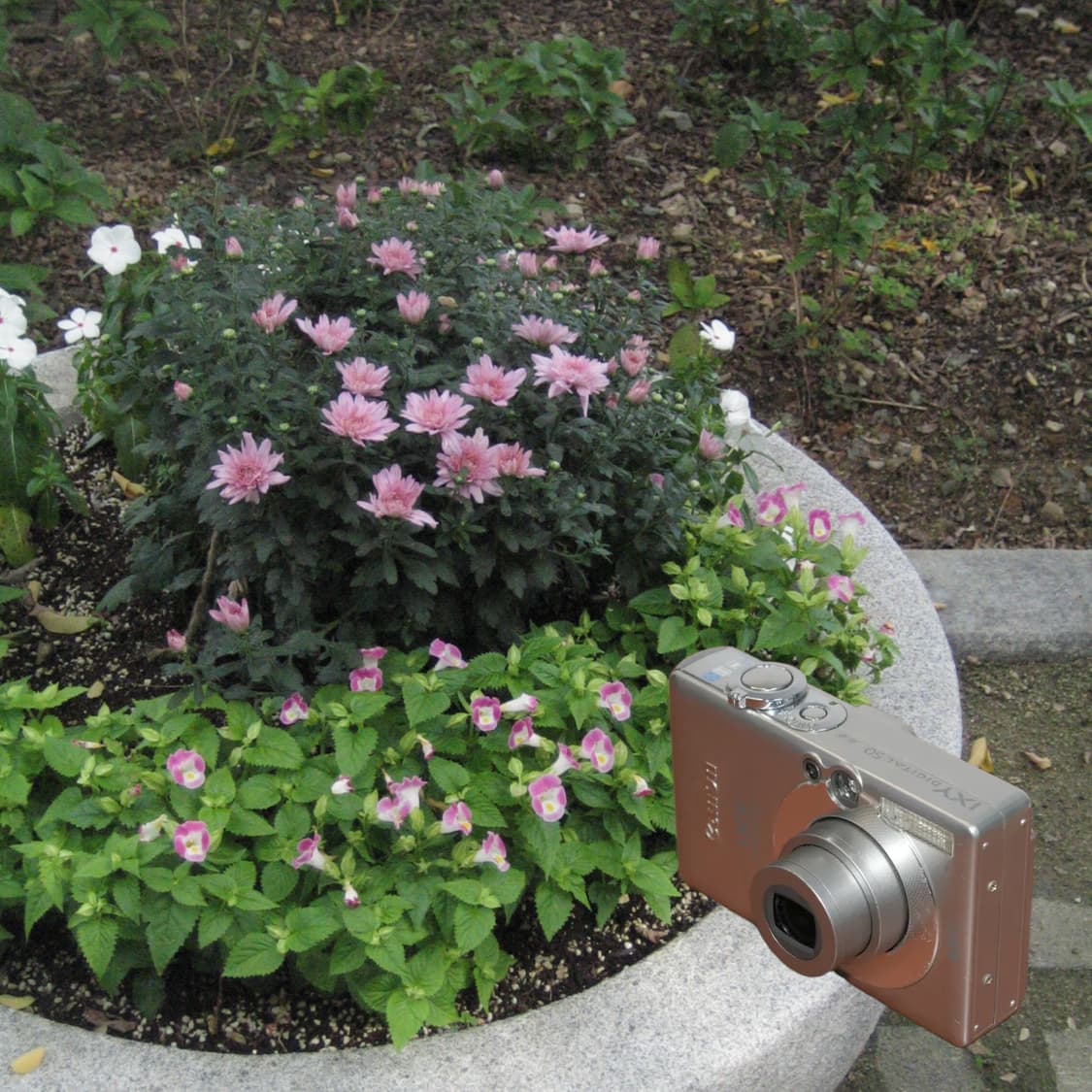 Canon IXY digital 50(✨A급 /🎁풀패키지) 상품이미지6