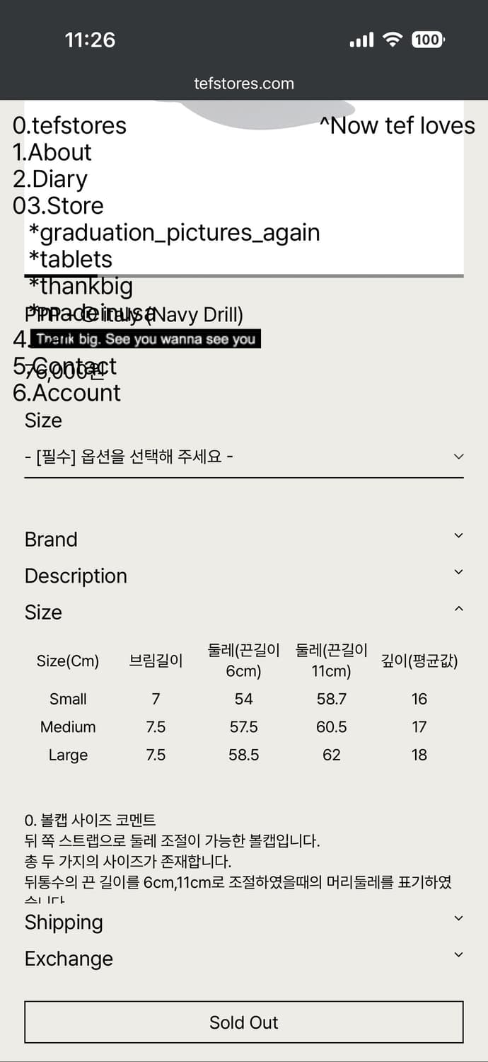 테프스토어즈 볼캡 M 상품이미지2