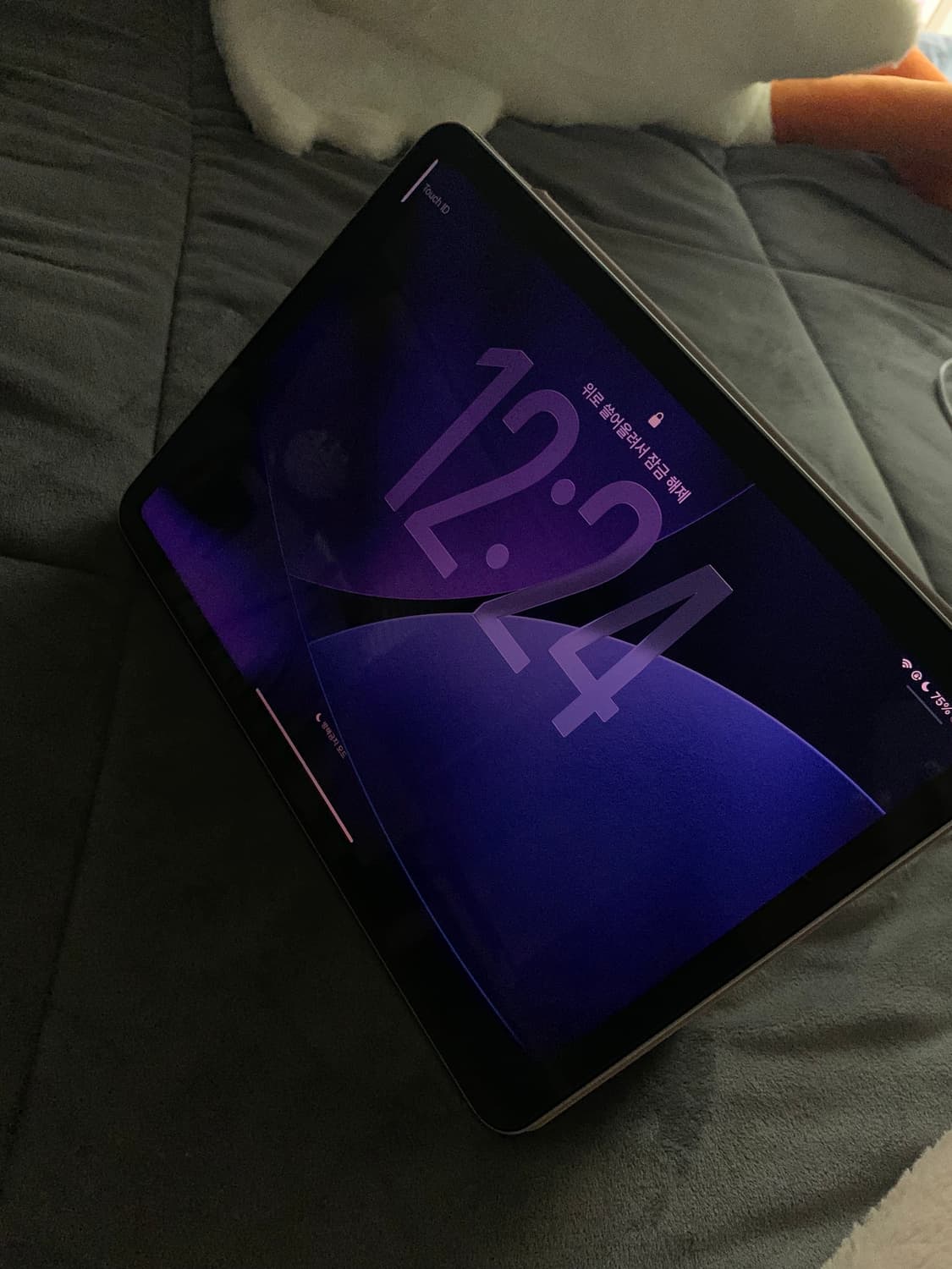 아이패드 에어4 256GB 상품이미지2