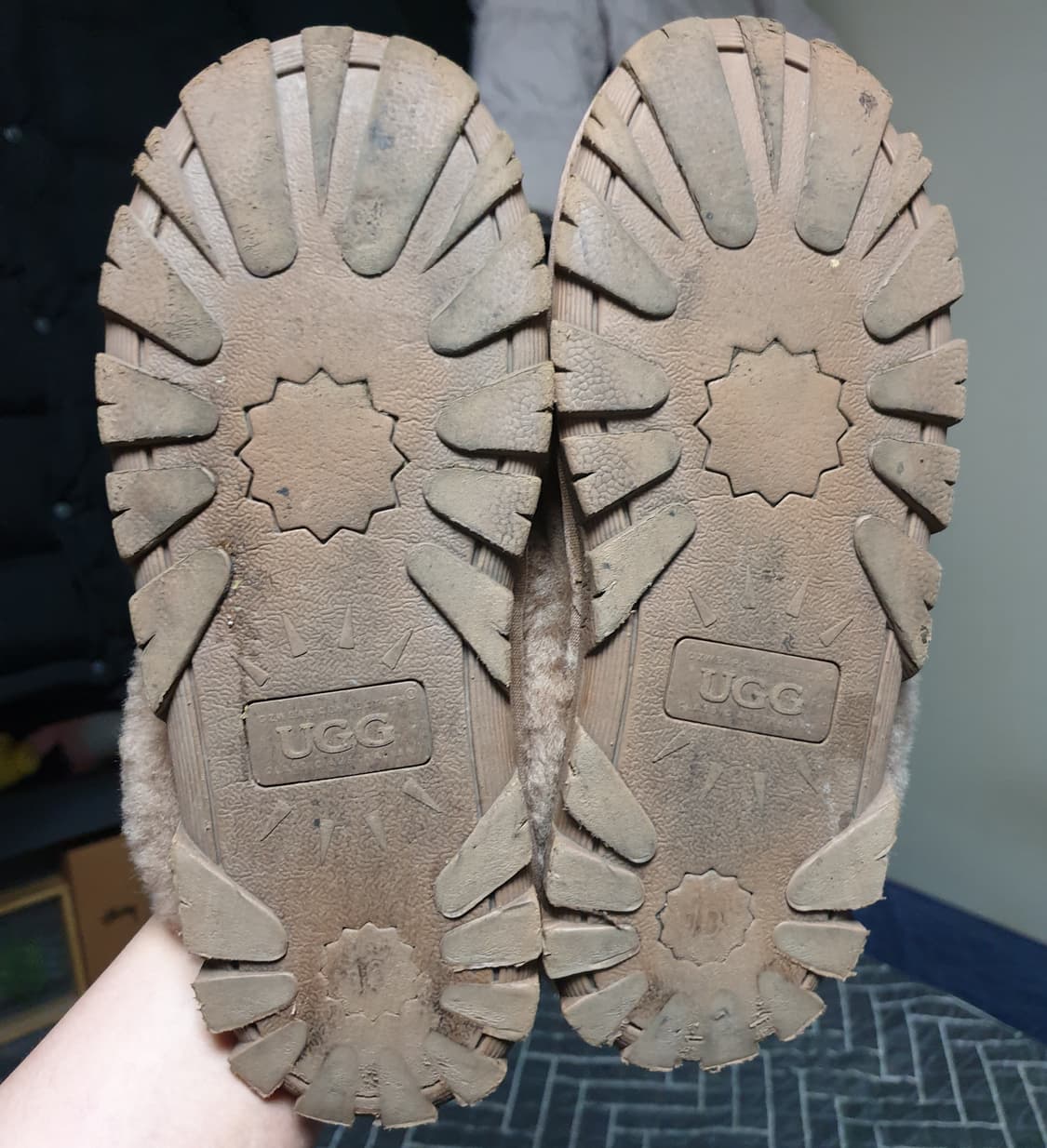 호주 오즈웨어 코케트 어그 양털슬리퍼 체스트넛 (260) 상품이미지5