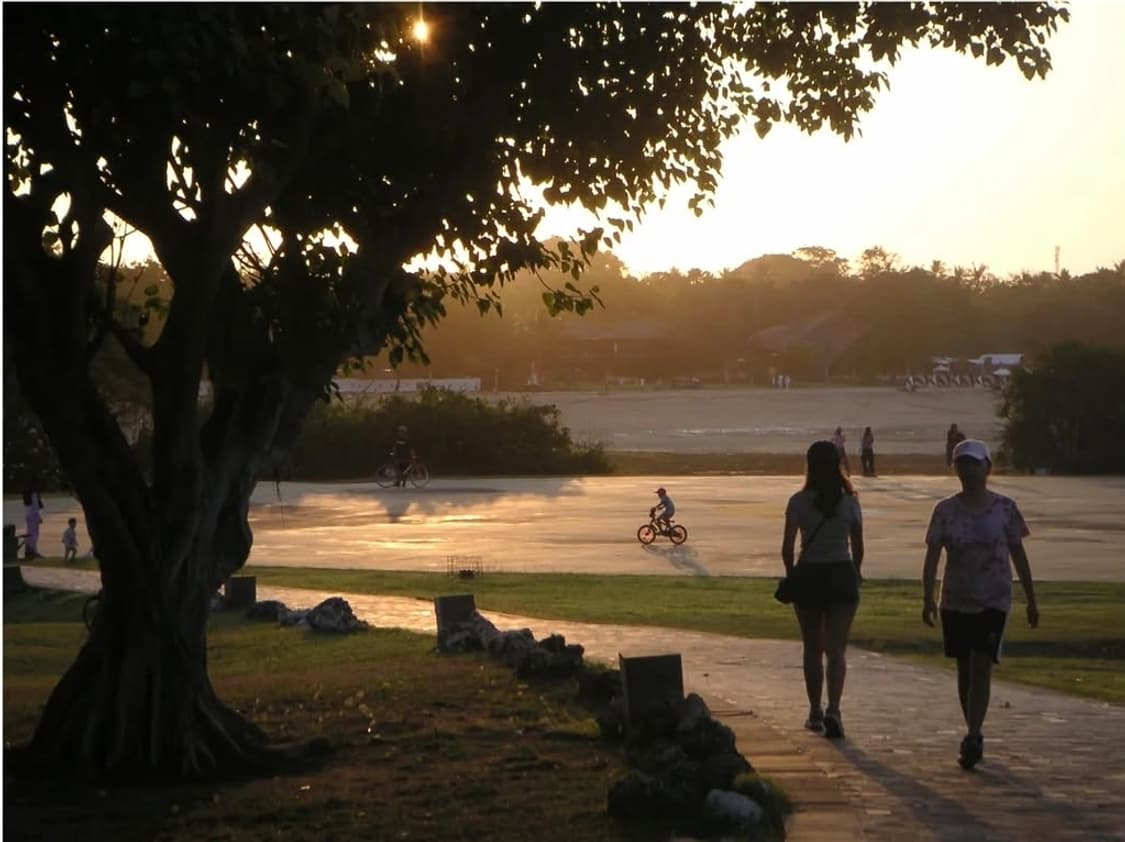 감성샷 최고🥹 ❣️minolta dimage Xg 🍒  상품이미지4