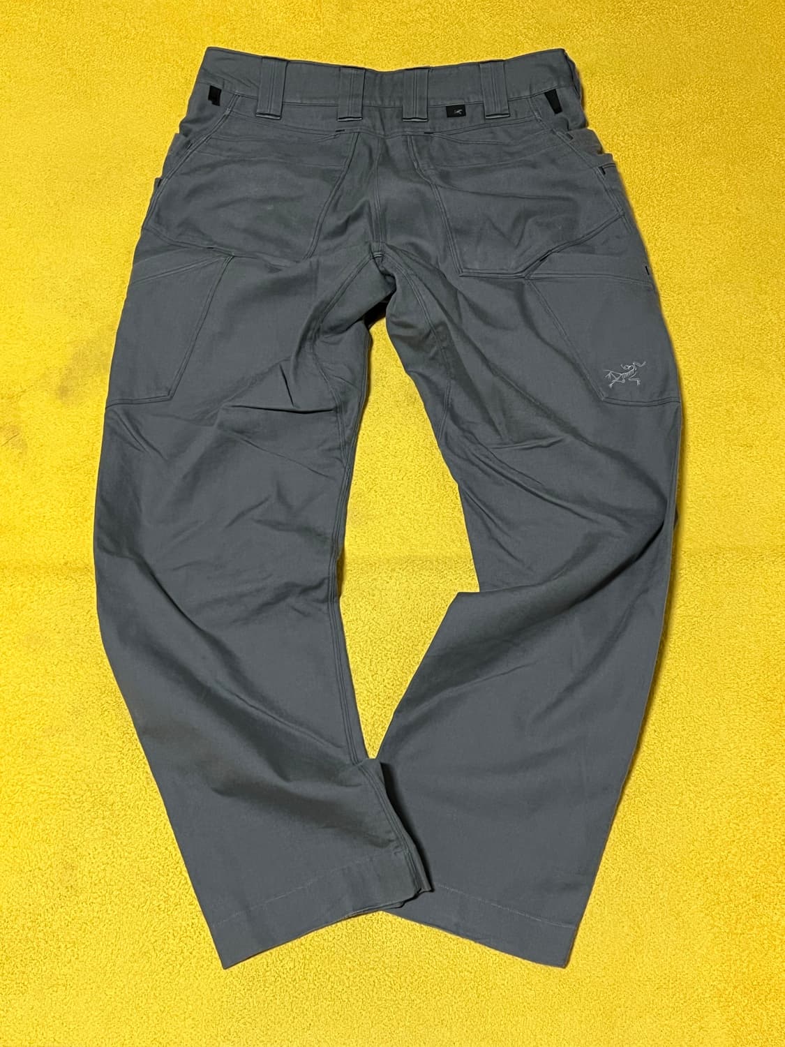 아크테릭스 리프 엑스펑셔널 바지 상품이미지2