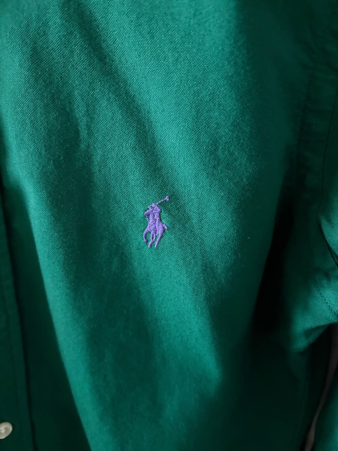 폴로 오스포드셔츠 상품이미지3