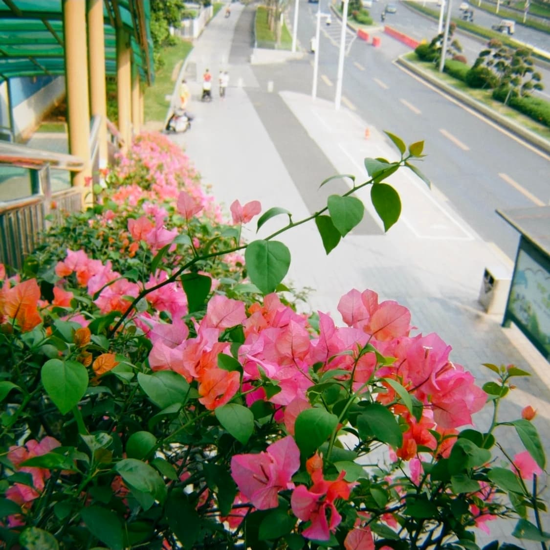 작례○) 니콘 쿨픽스 p4 상품이미지9