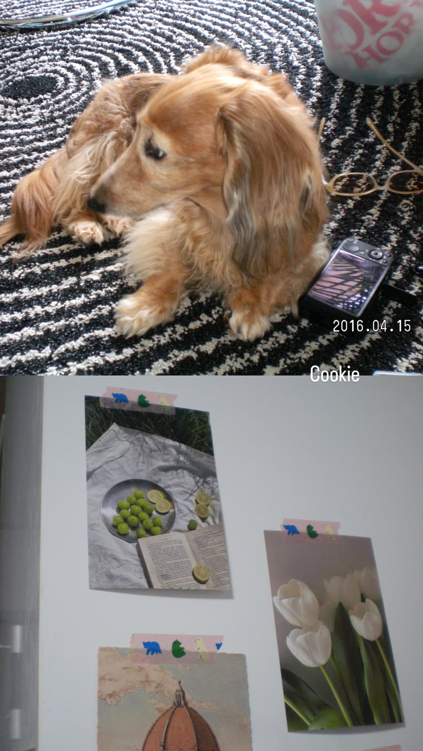 산요 작티 E7 (작례o) 빈티지 카메라 📷 빈티지 디카 상품이미지5