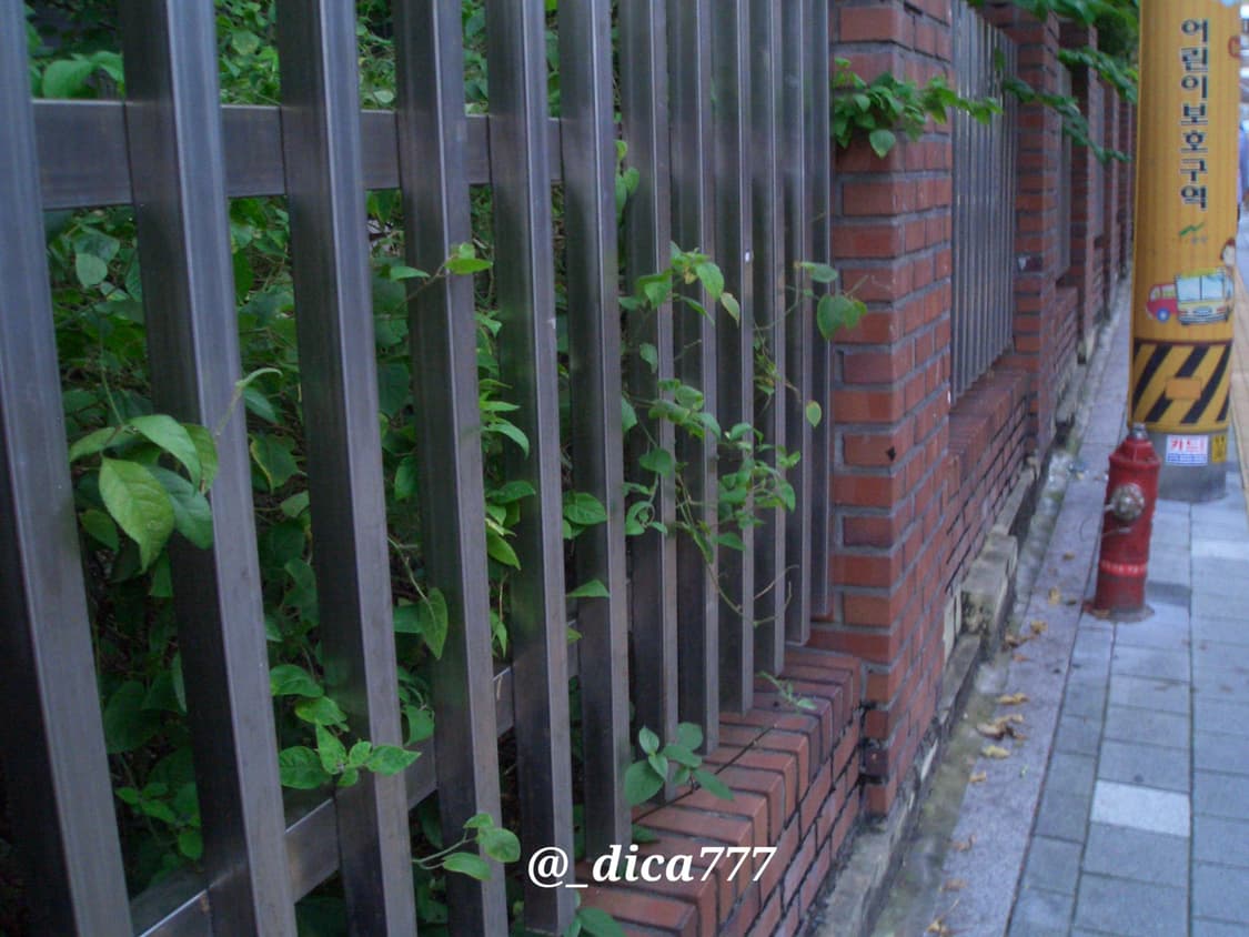 카시오 EX-S100 디카 풀박스 상품이미지8