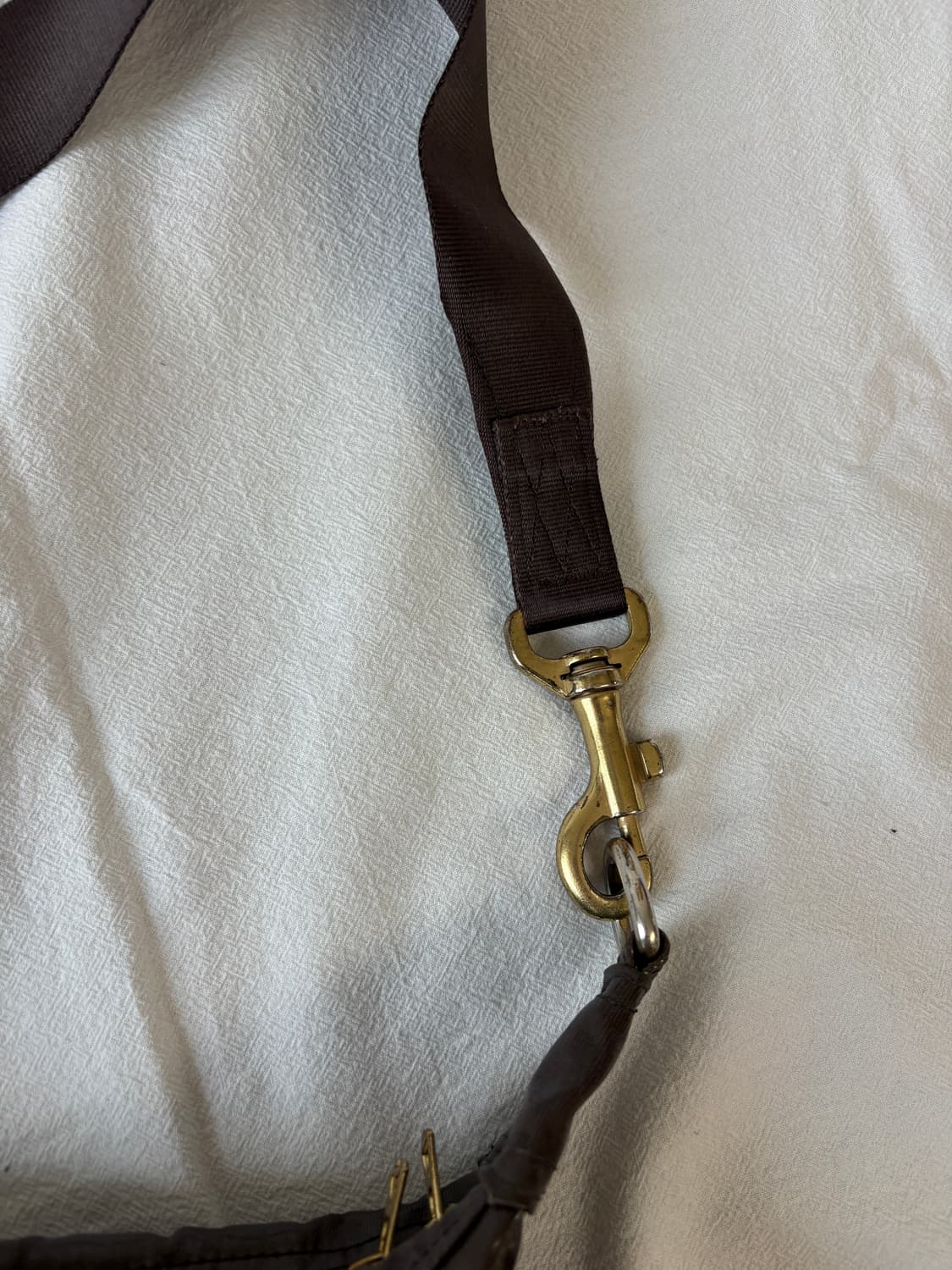 Porter shine shoulder bag (brown)  상품이미지7